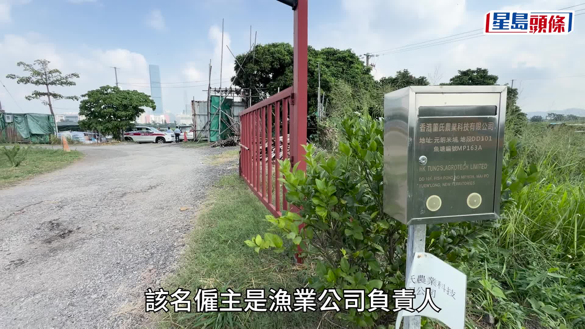 元朗米埔內地男倒斃魚塘 揭打黑工肇禍 警拘僱主