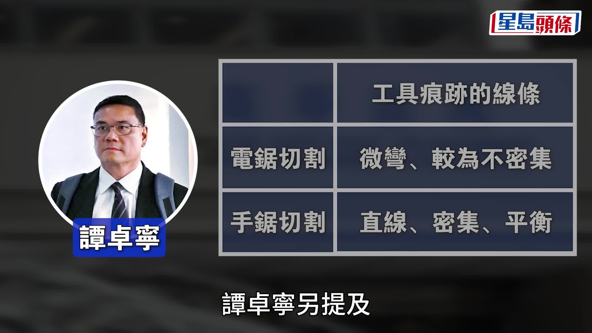 蔡天鳳碎屍案｜政府化驗師稱盤骨一分為二 「可以係鋸開」或錘子擊打而成