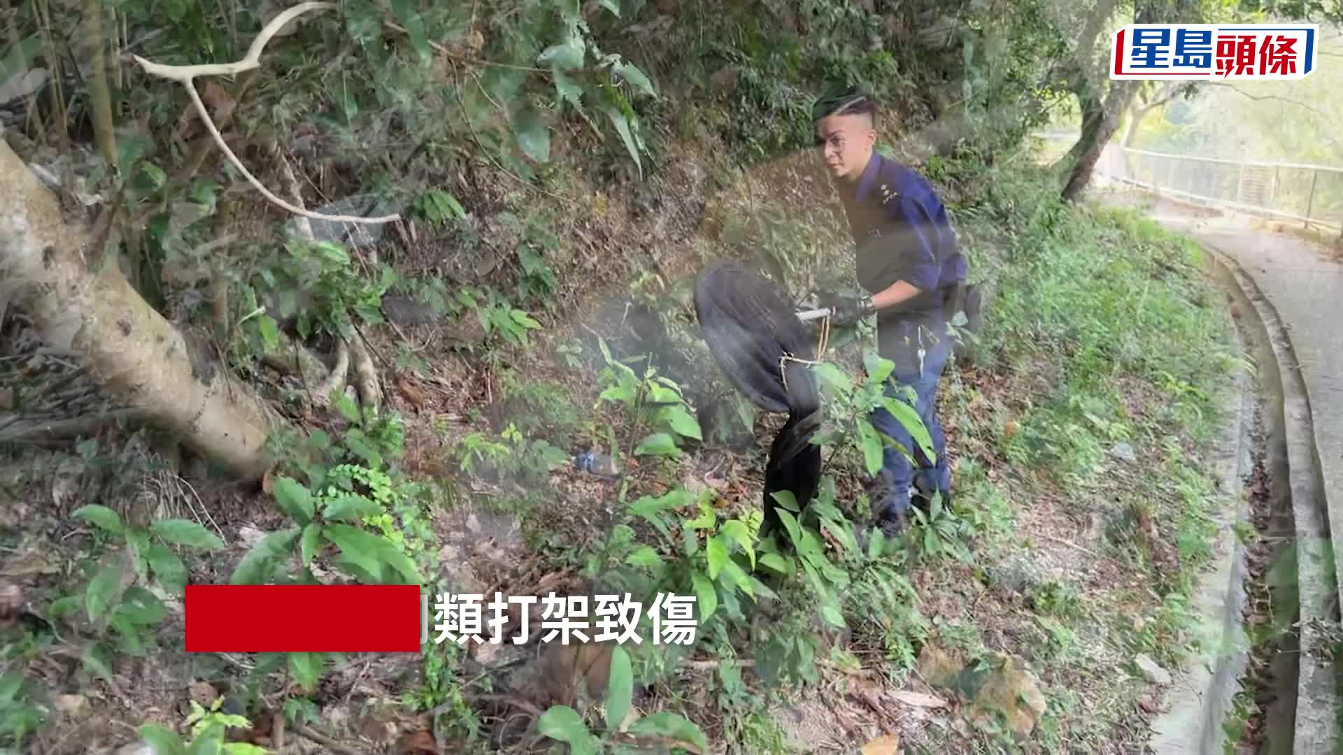 馬騮受傷｜荔枝角鍾山臺馬騮頭破血流 愛協到場帶走療傷