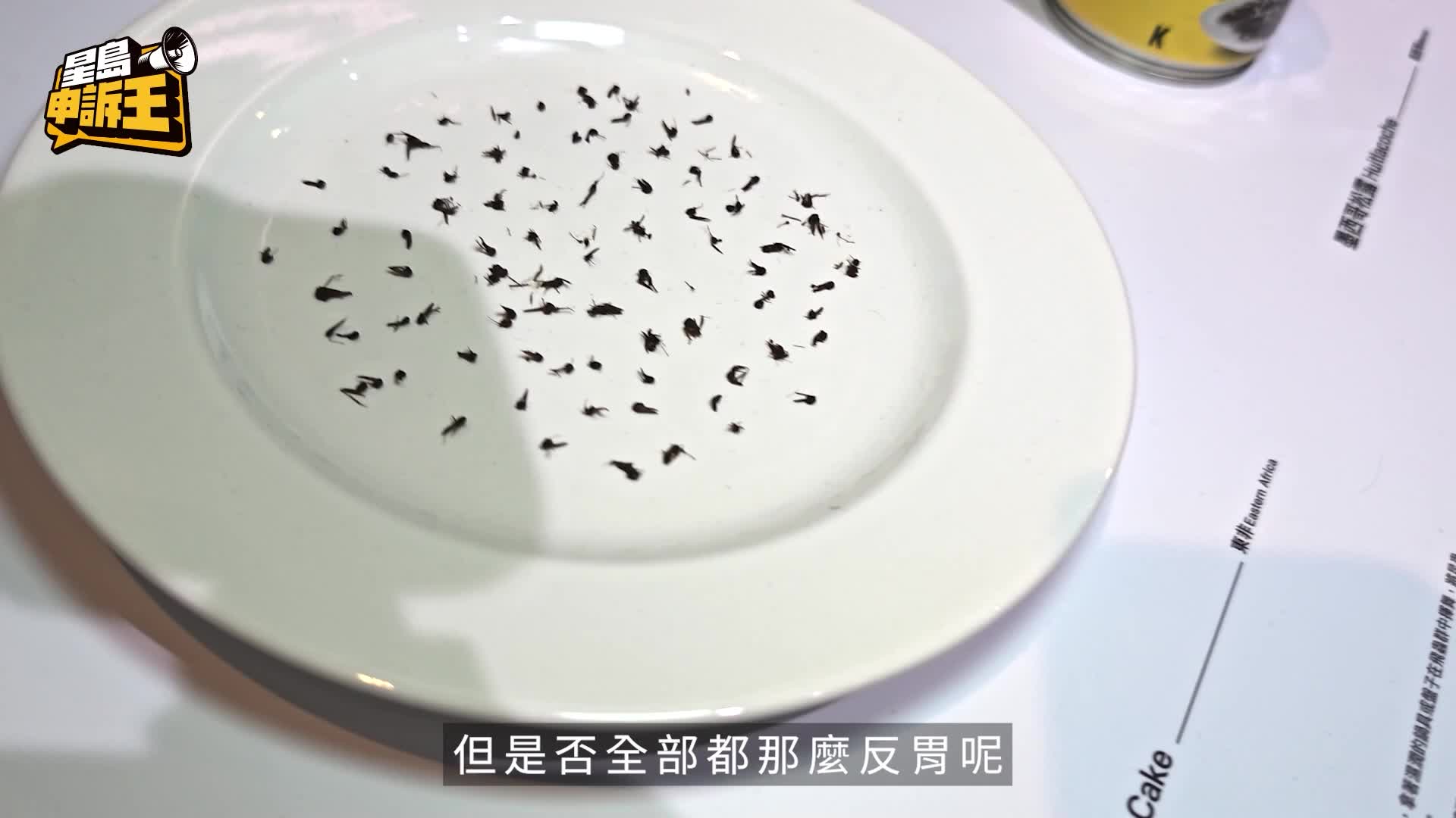 星岛申诉王 | 全球恶心食物香港展出 记者挑战两大魔王级臭鱼 策展人冀带出对食物反思