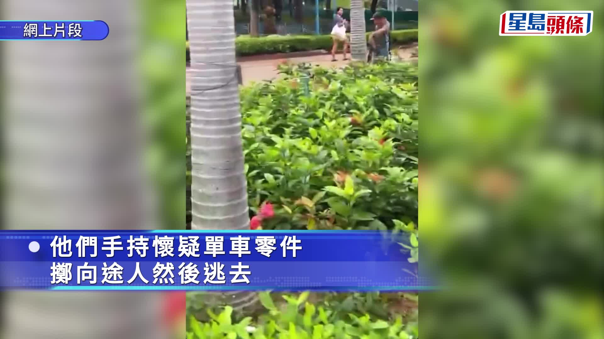 有片｜荃灣「子彈仔」街童大鬧公園 亂掟物件襲長者疑涉馬蹄鐵