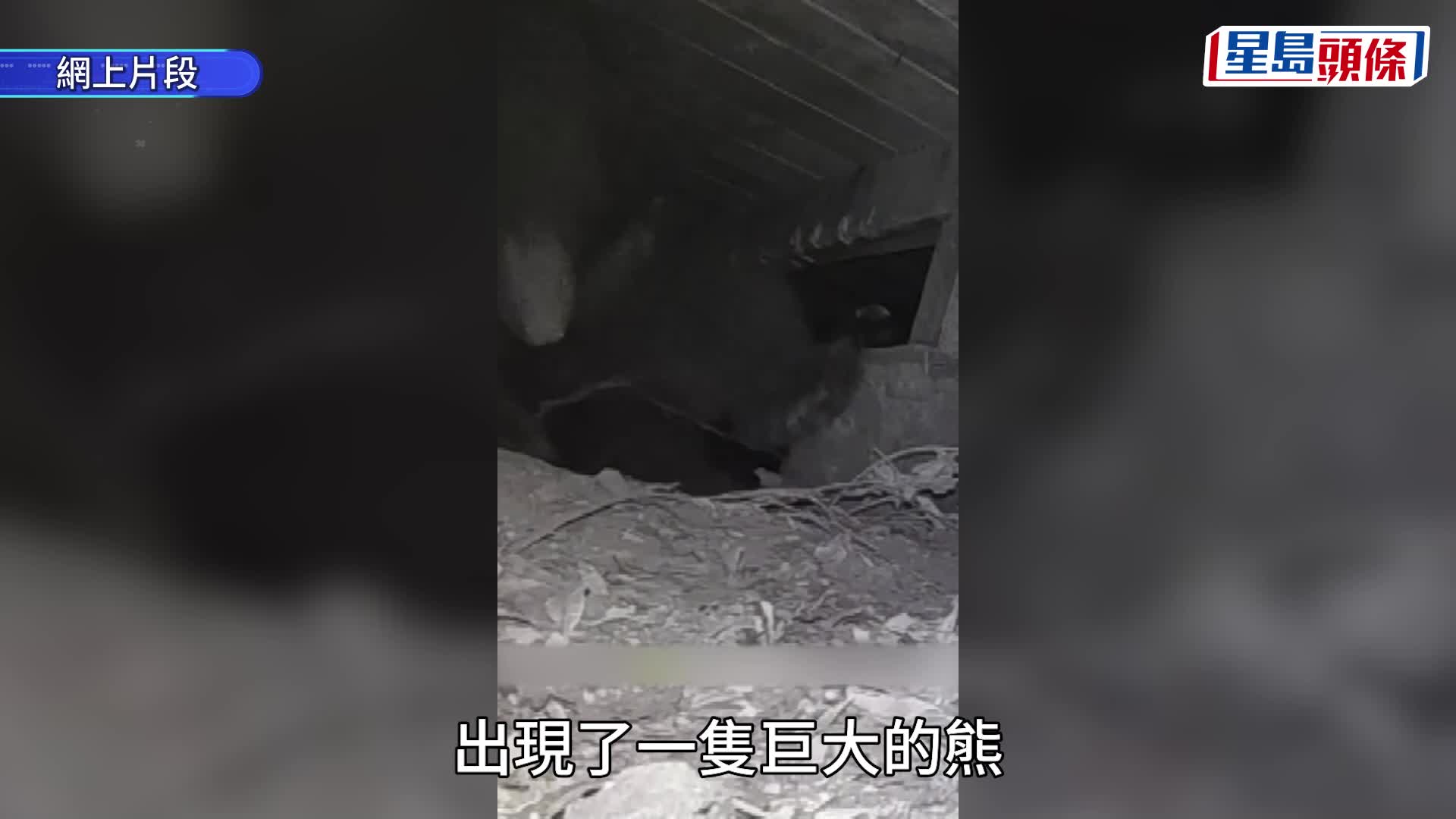 洛杉磯一座經歷伊頓大火洗禮的住宅及室內泳池。