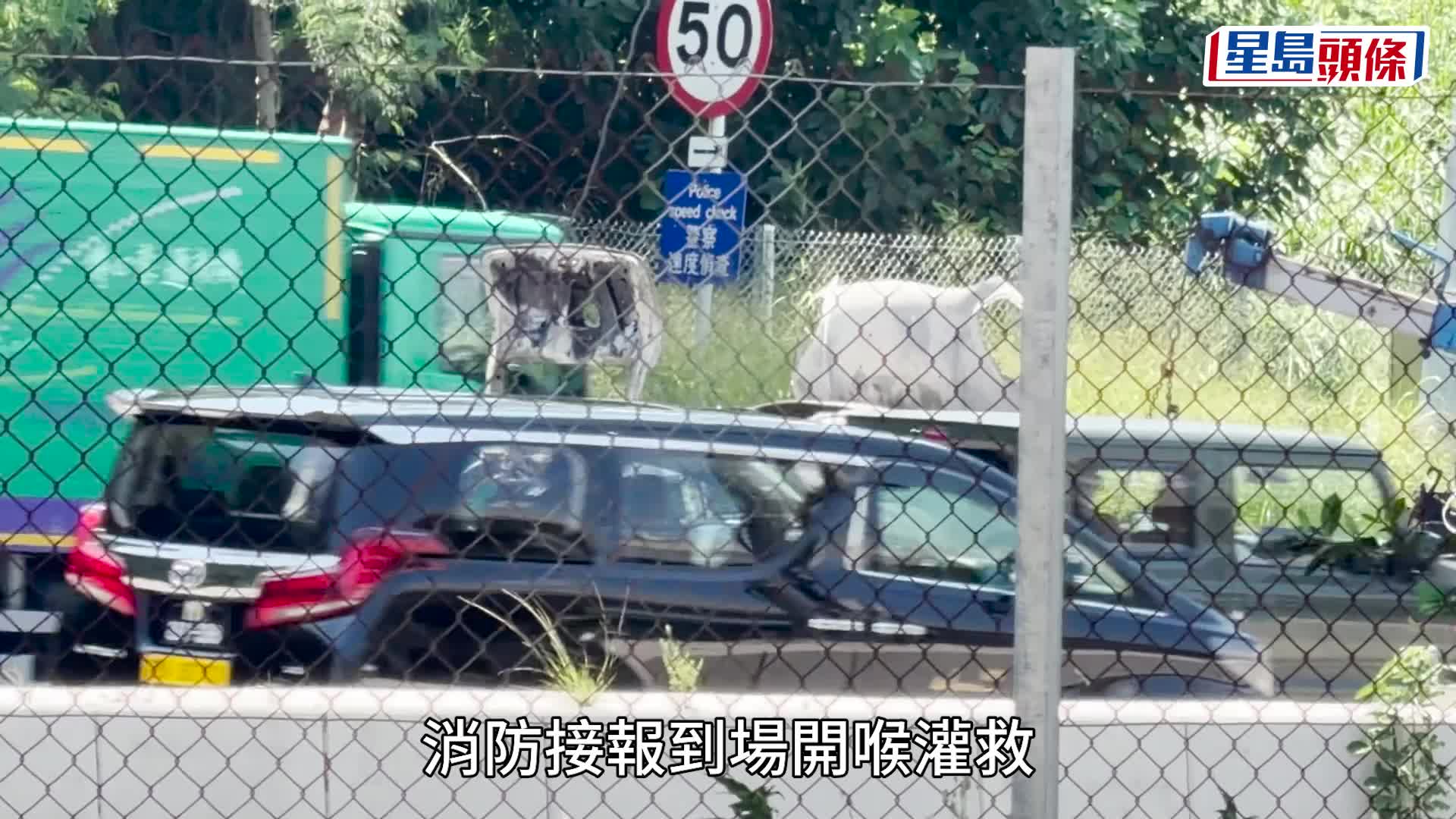 西九龙公路私家车「自焚」陷火海 女司机及时逃生