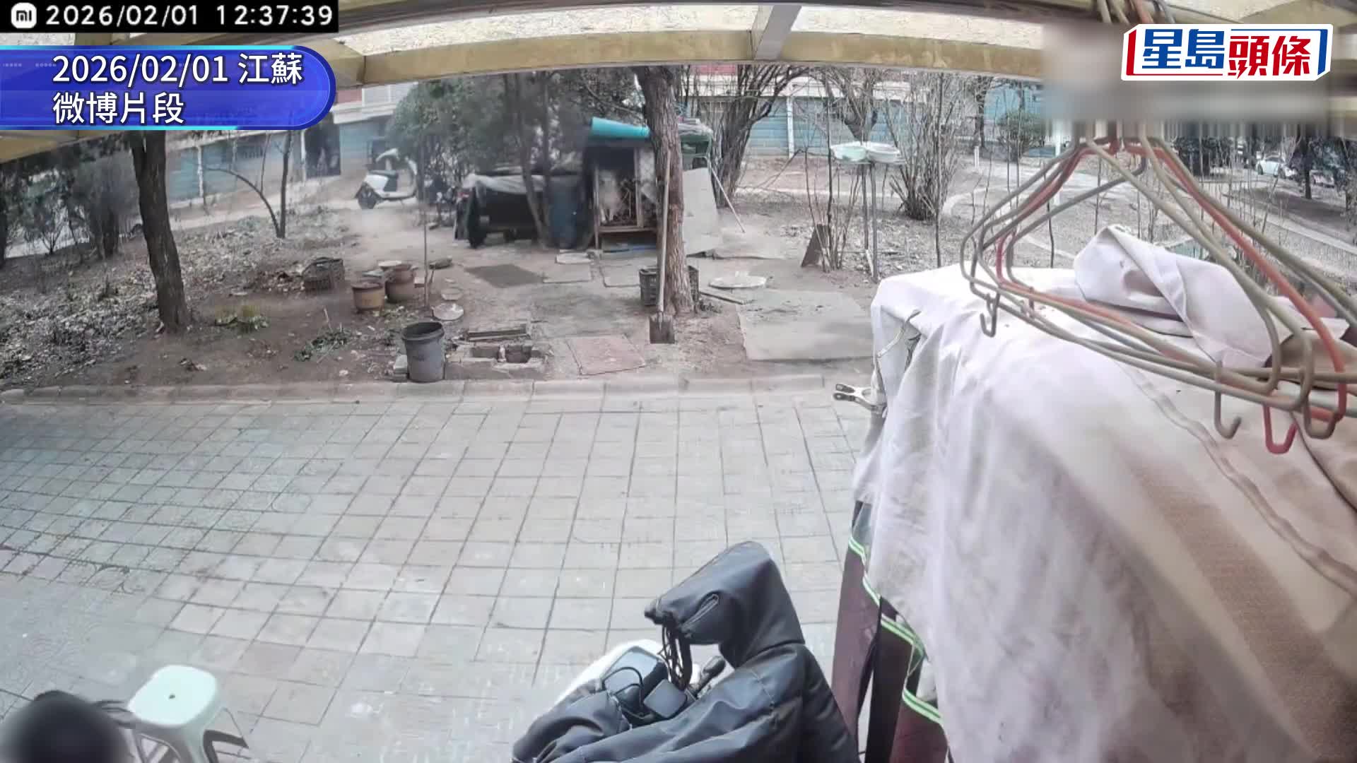 江苏2熊孩子监生烧死西摩犬。