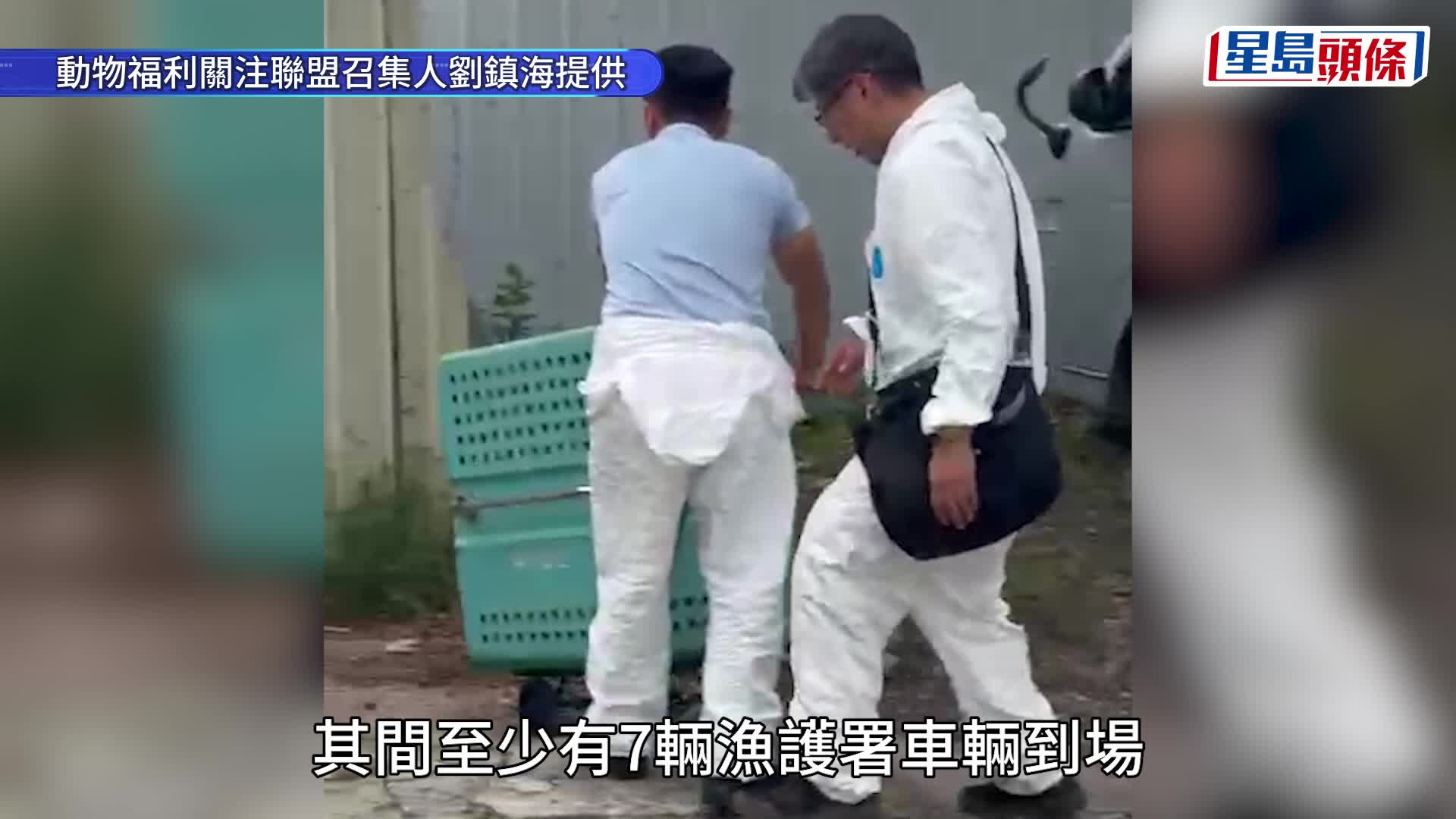 漁護署警方進520浪浪加油站八鄉狗場 帶走約50隻狗