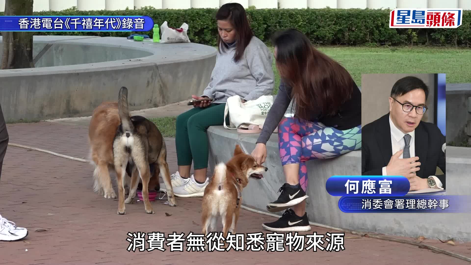 消委會昨日(15日)發布新一期選擇月刊，就有關寵物釣魚詐騙進行調查。資料圖片