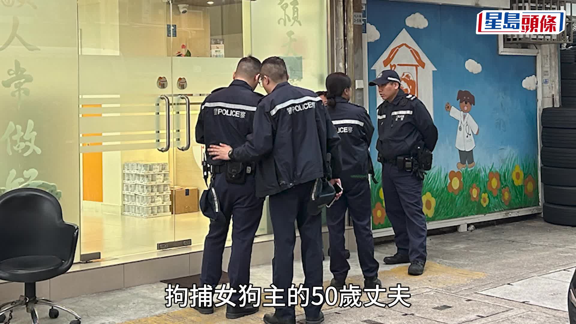 拉布拉多犬BB右后脚骨裂 揭遭人掟向墙角 女狗主丈夫被捕