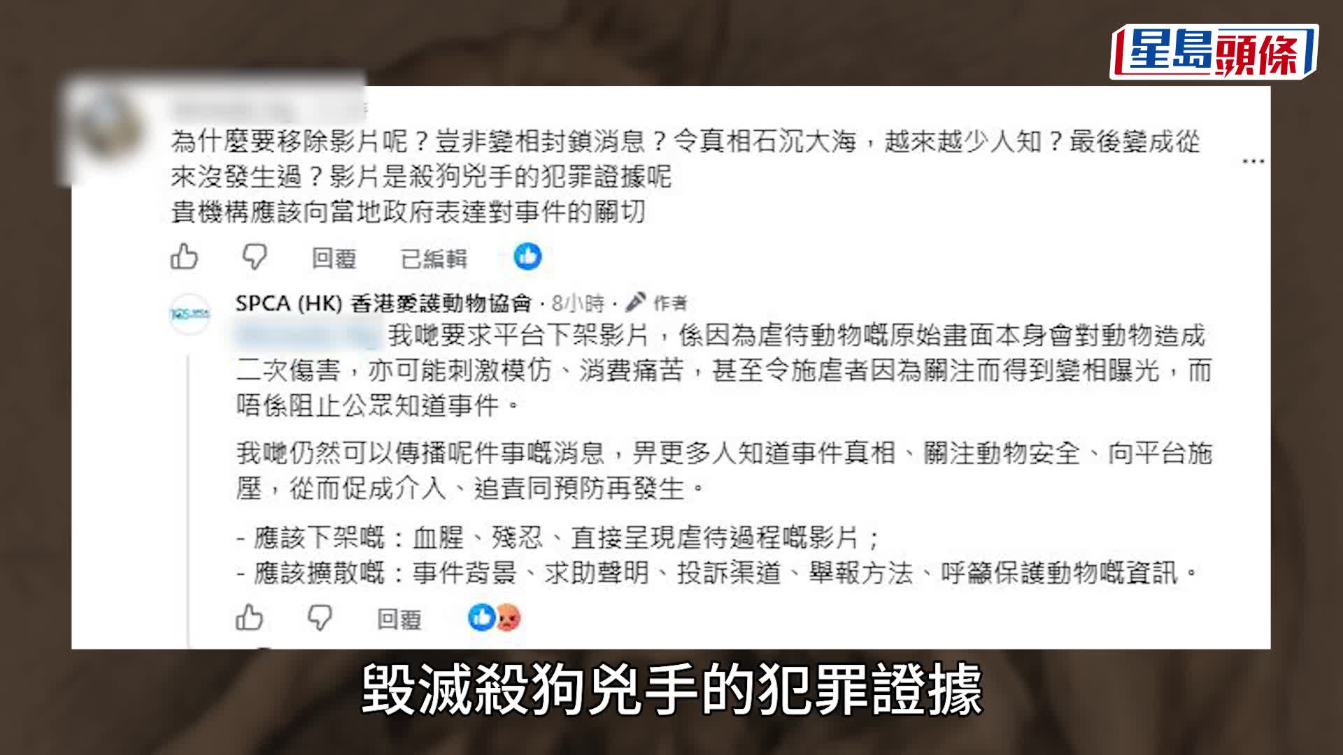 揭陽虐狗｜愛協舉報影片惹質疑 宣布取消周六賣旗日 就溝通不足致歉