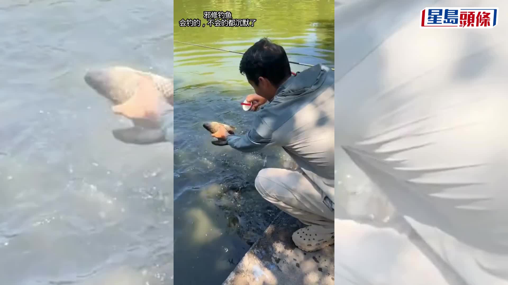 雪糕釣魚短片瘋傳，專家澄清大魚搶食屬條件反射，呼籲釣友切勿盲目跟風污染水質。