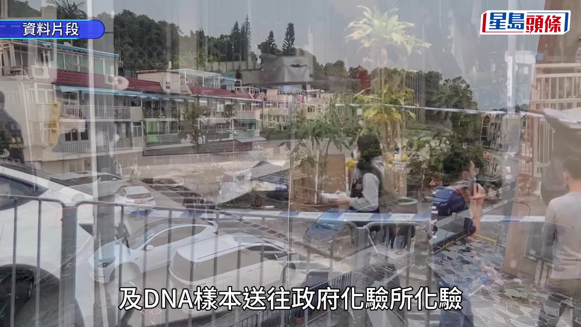 蔡天凤碎尸案｜法医确认两煲「青红萝卜汤」内有蔡天凤头部、5块肉及3束头发