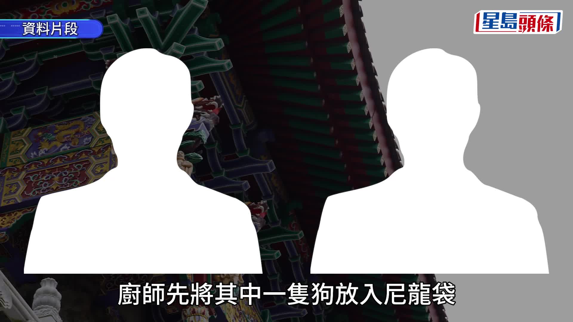 寶蓮禪寺棄狗事件後，「毛守救援」創辦人Kent懸賞10萬元，尋找兩隻失狗。