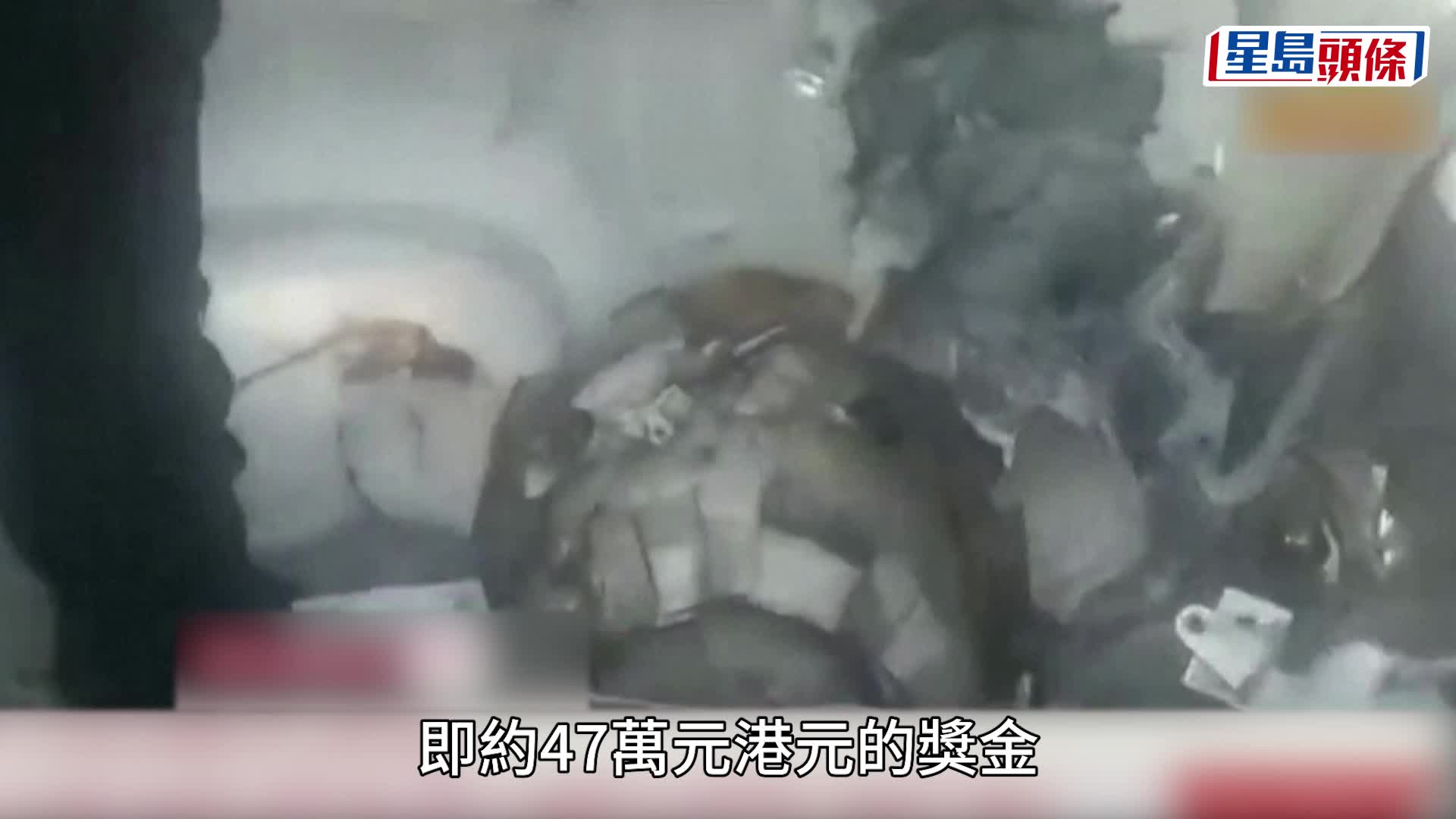 路透社资料图片