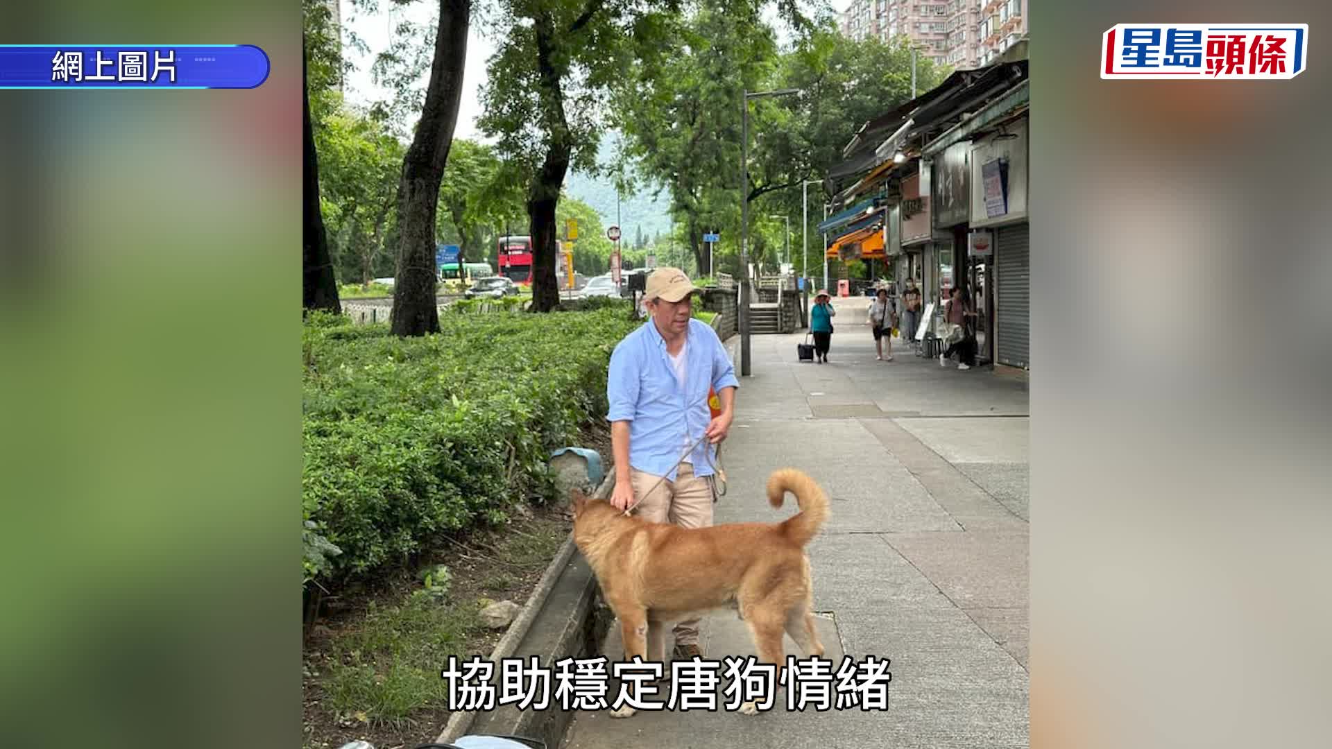 大埔唐狗大鬧「錢大媽」超市 偷食生肉大快朵頤 警持盾戒備