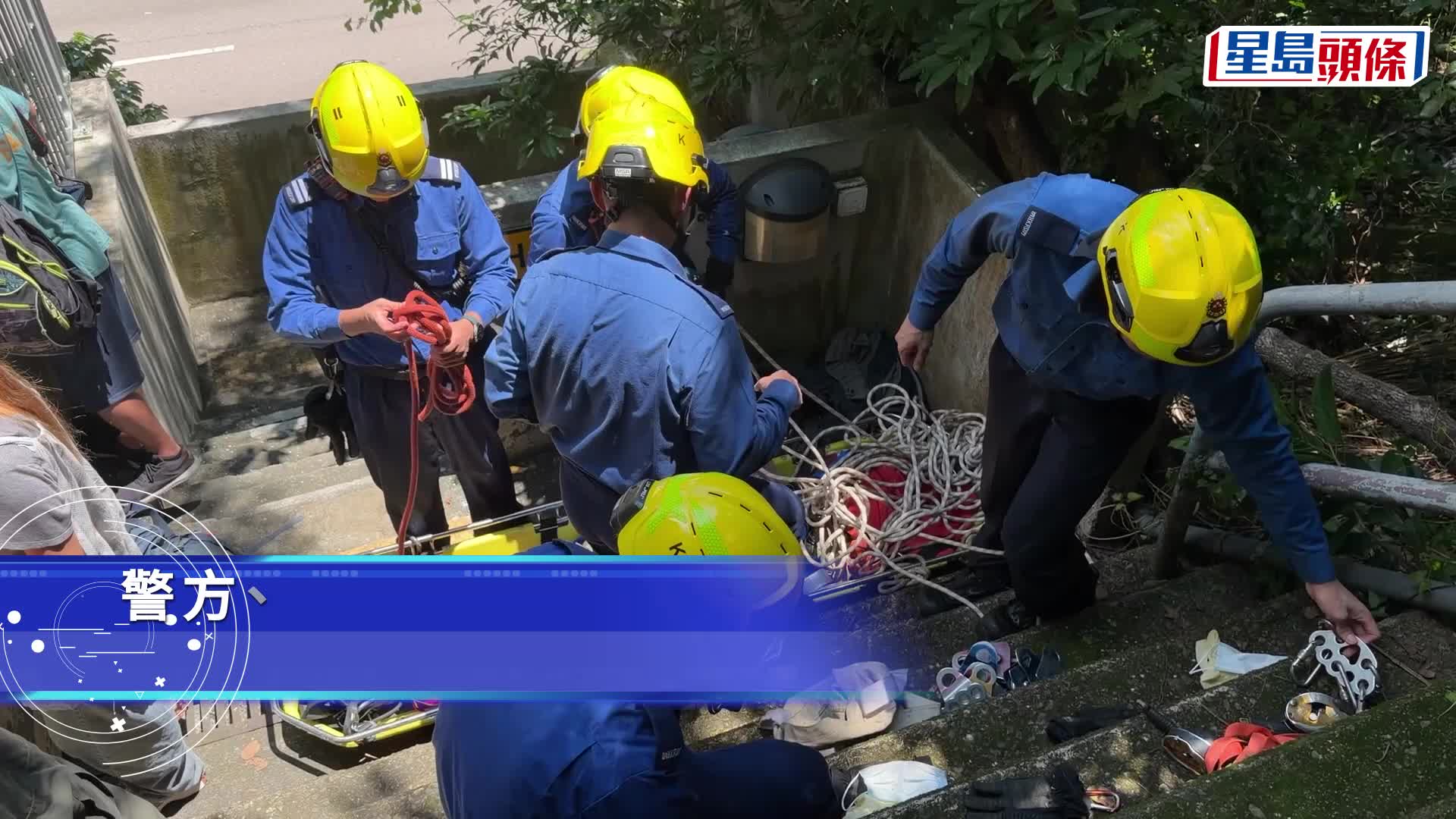 薄扶林域多利道重60公斤野豬被困引水道 漁護人員射麻醉槍消防救起