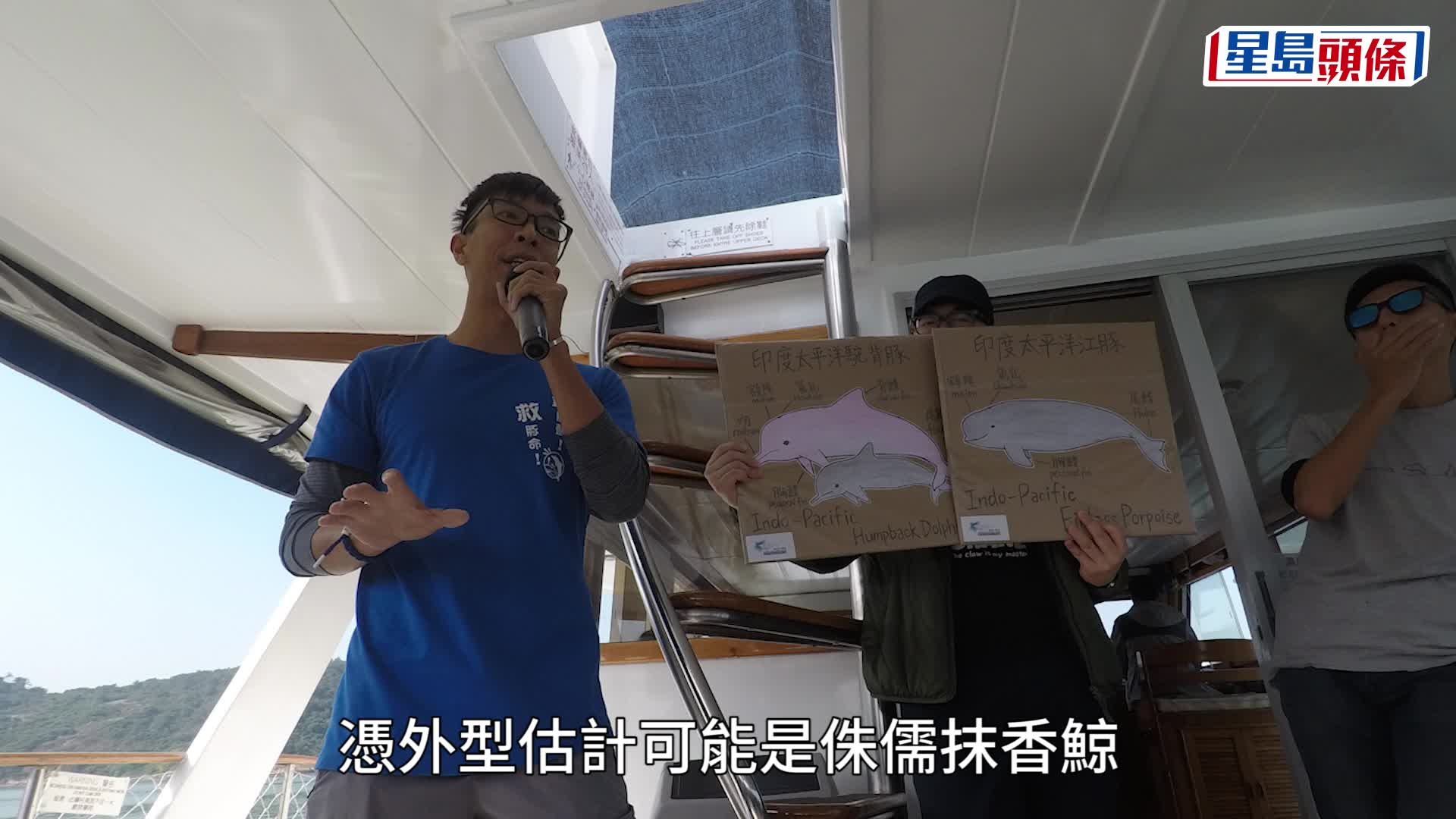 鯨蹤再現｜漁護署確認鯨魚曾短暫現身  暫確定位置品種健康狀況