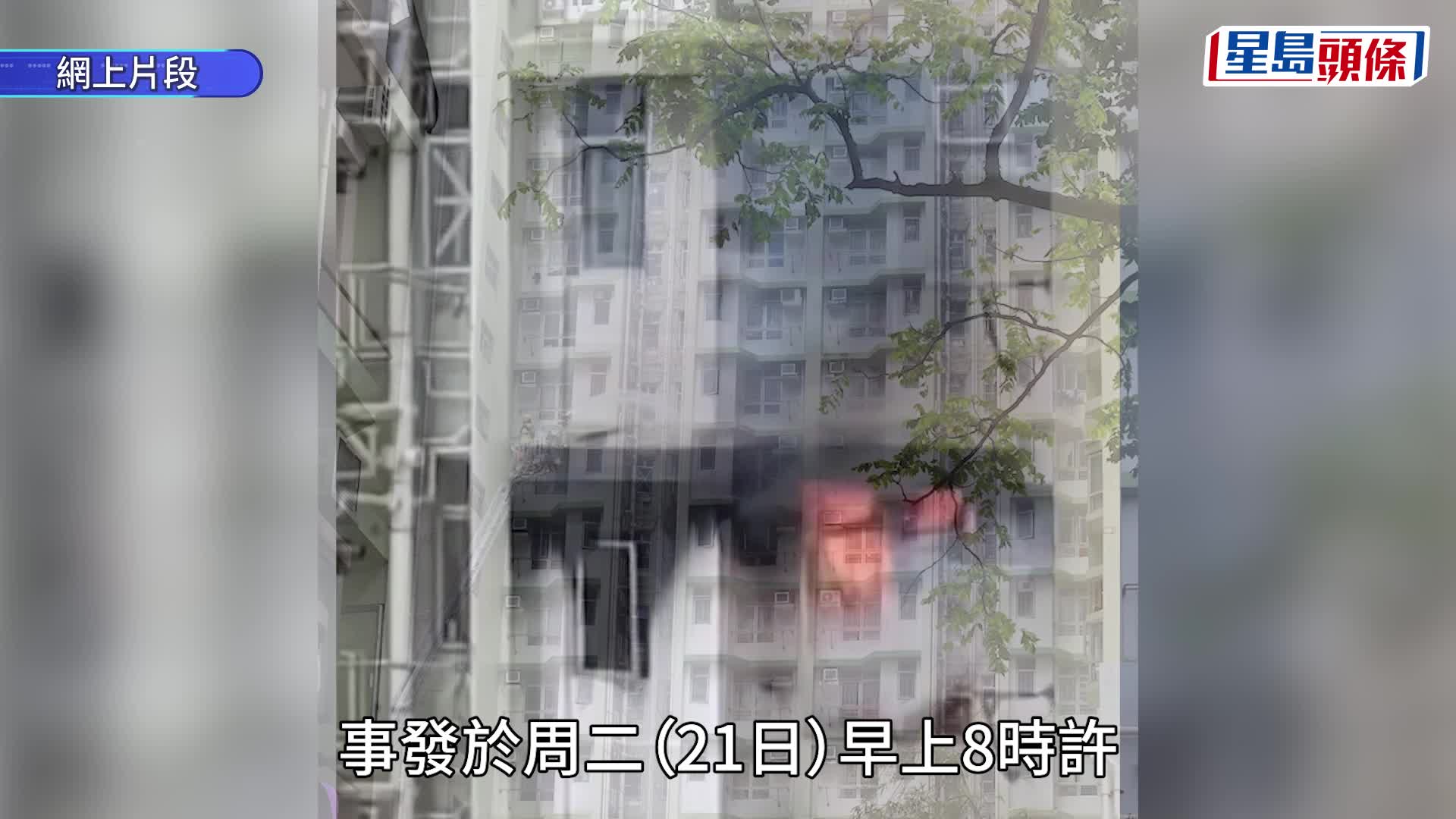 荃灣梨木樹邨單位起火 逾50人疏散
