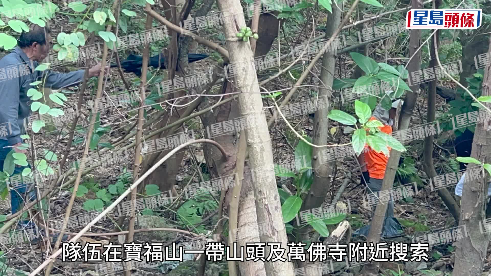 熱心市民組隊上山，搜索劉家良及另外至少2位名人富豪的骨灰。楊偉亨攝