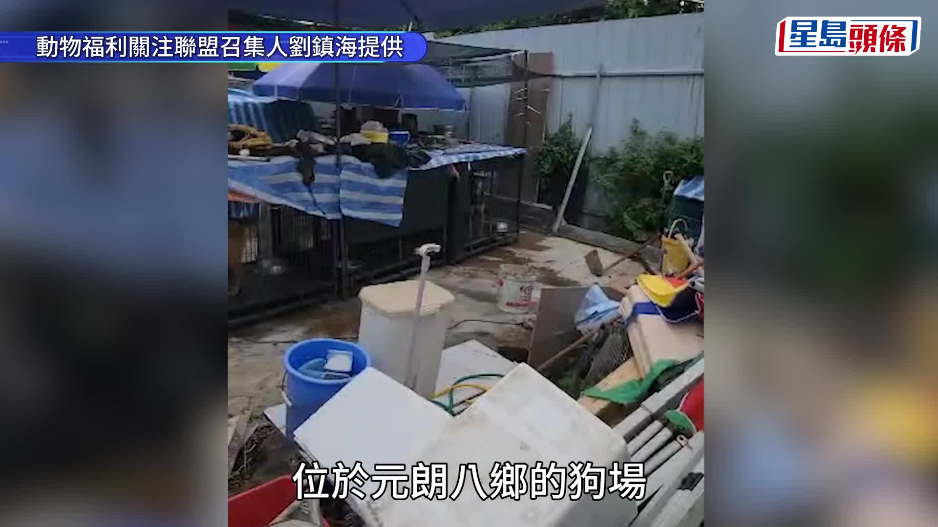 520浪浪加油站｜漁護署進八鄉狗場帶走多隻狗 愛協籲規管收容所