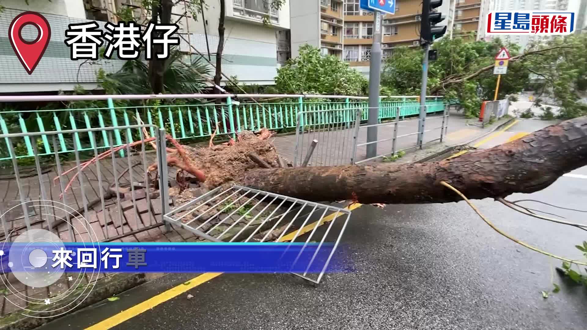 大樹倒塌壓進校園。林思明攝