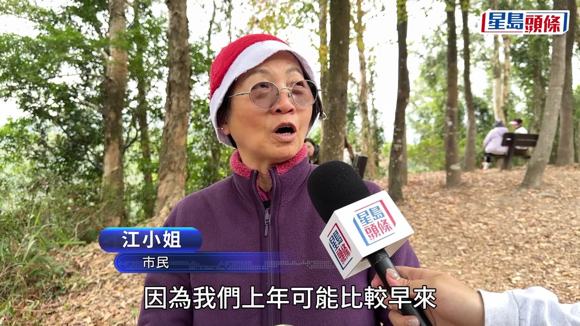 元朗大棠楓香林吸引不少市民及遊客專程上山賞紅葉。