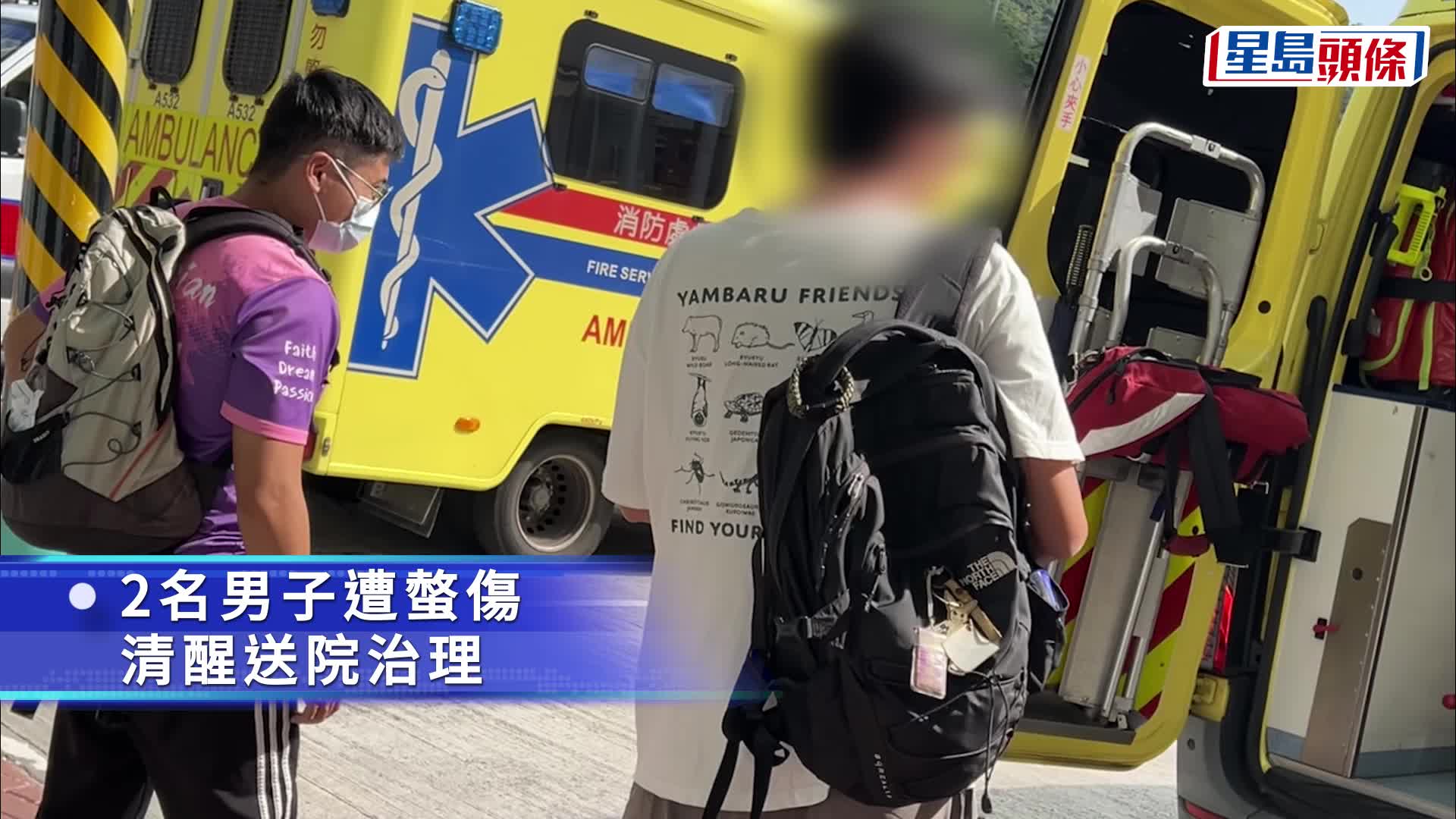 西贡海下11人行山遇蜂群 2男遭螫伤送院