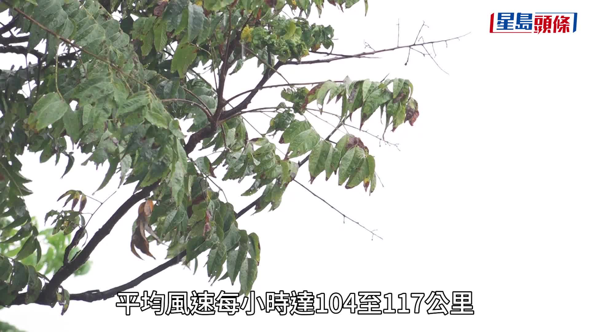 颱風樺加沙｜已增強為強颱風 天文台料「升呢」超強颱風逼港 9.24離岸及高吹11級風