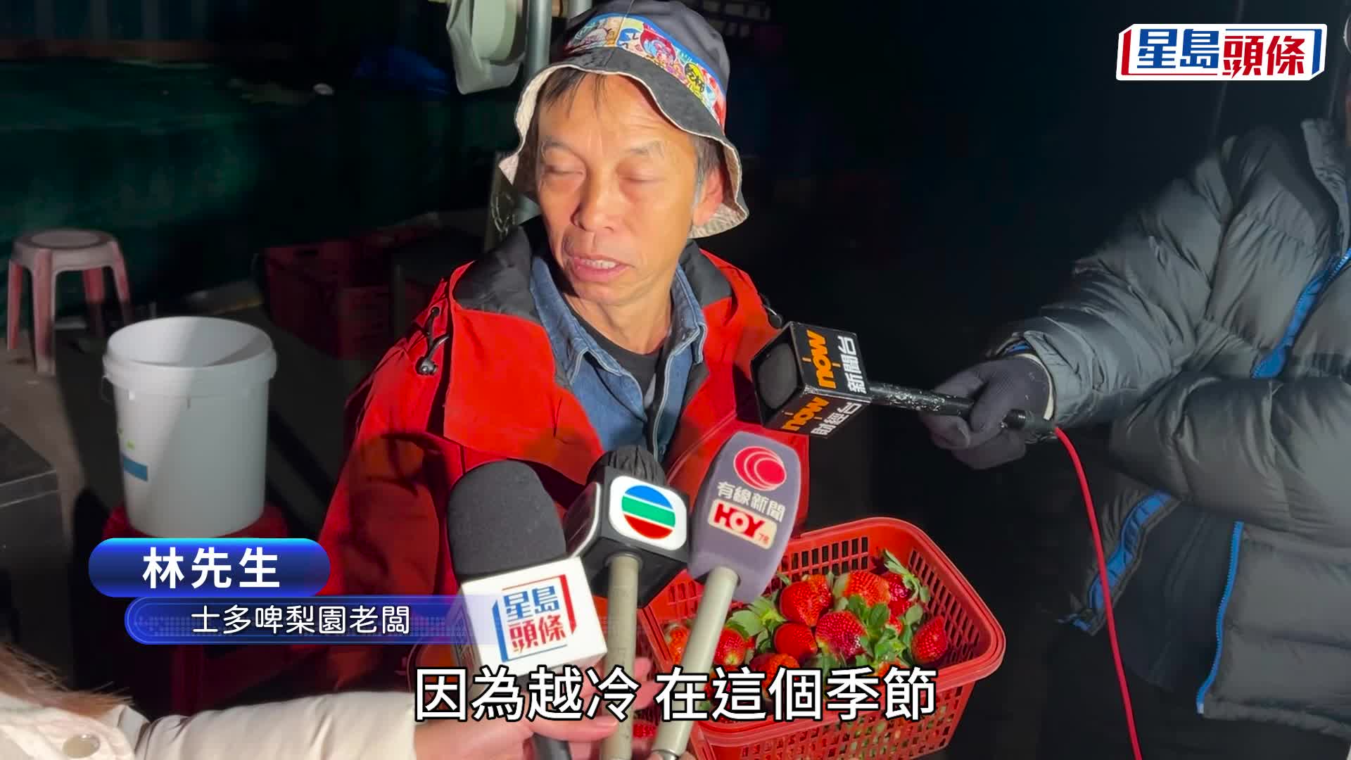 打鼓嶺清晨驚現-1.2°C 「銀紗」覆蓋車身、菜田