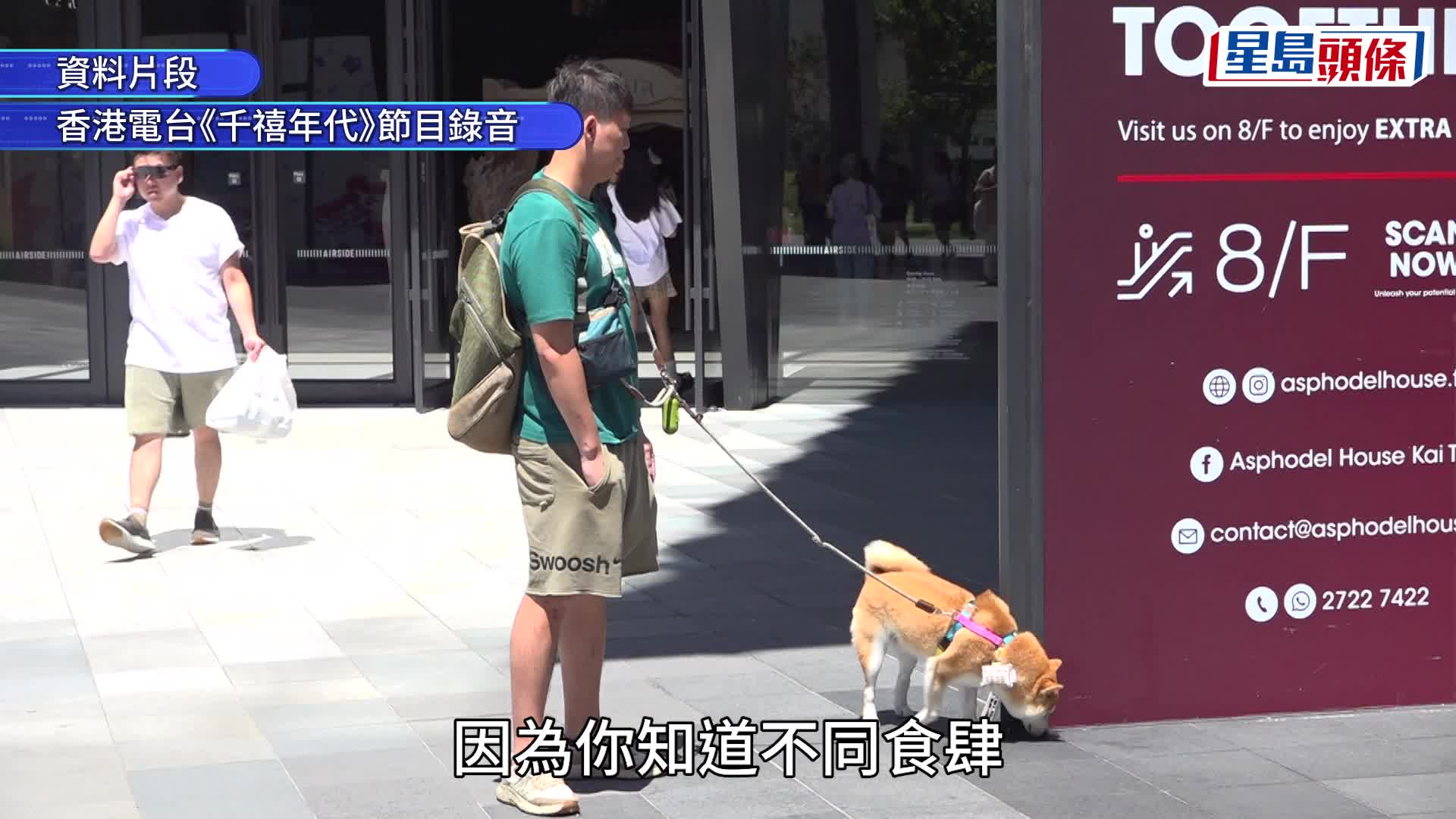 狗隻准入食肆︱謝展寰：擬每名顧客最多攜兩隻狗隻入食肆 半年後就牌照條款作檢討