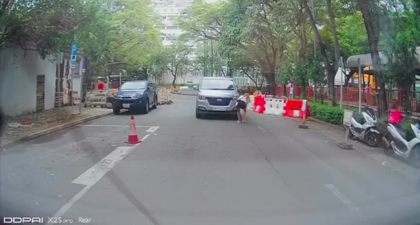 女子擋車救鳥。