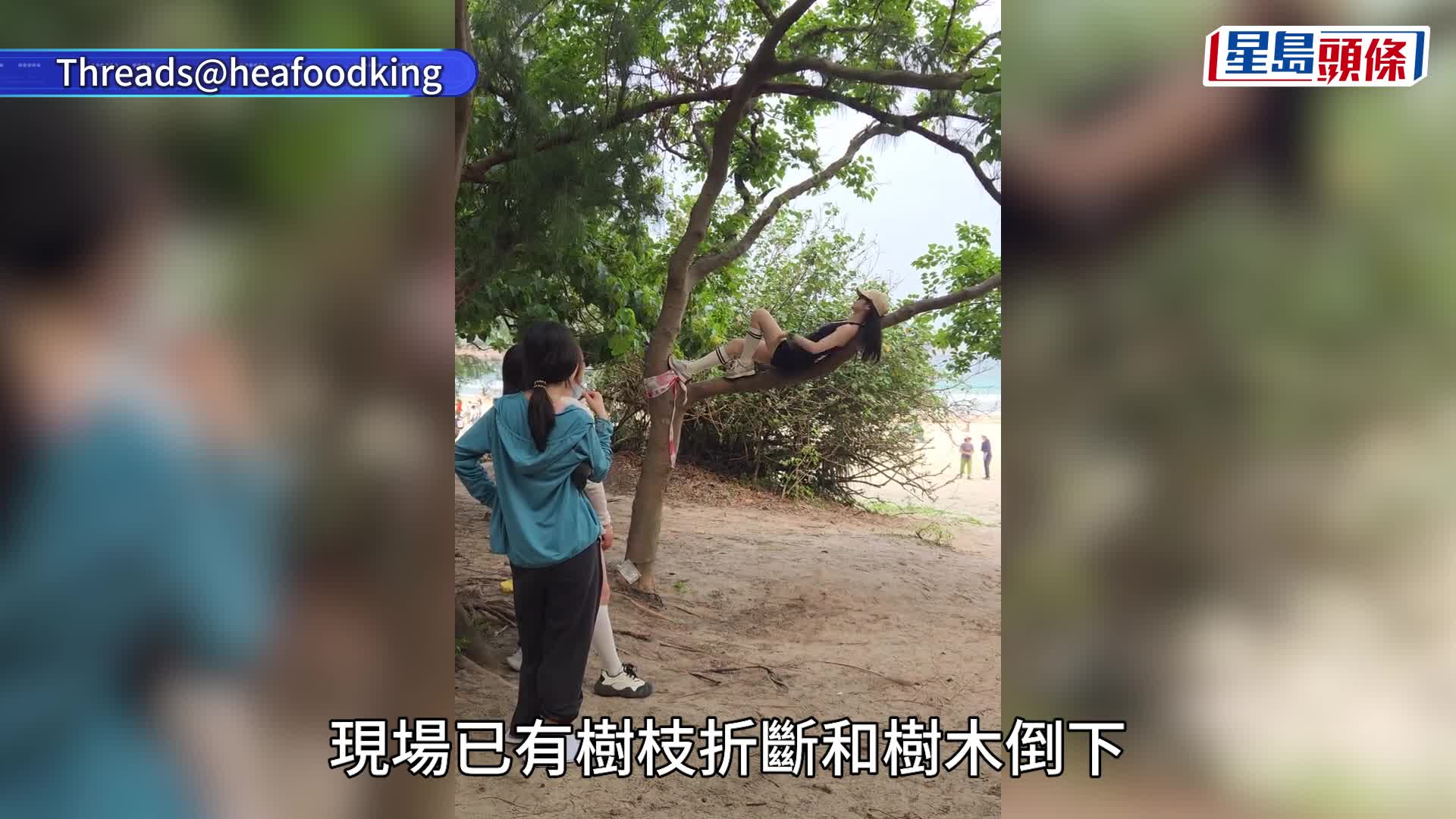 有片｜「抱樹文化」 蔓延香港 熱褲女爬樹打卡惹眾怒 目擊者：無品嘅行為唔好學