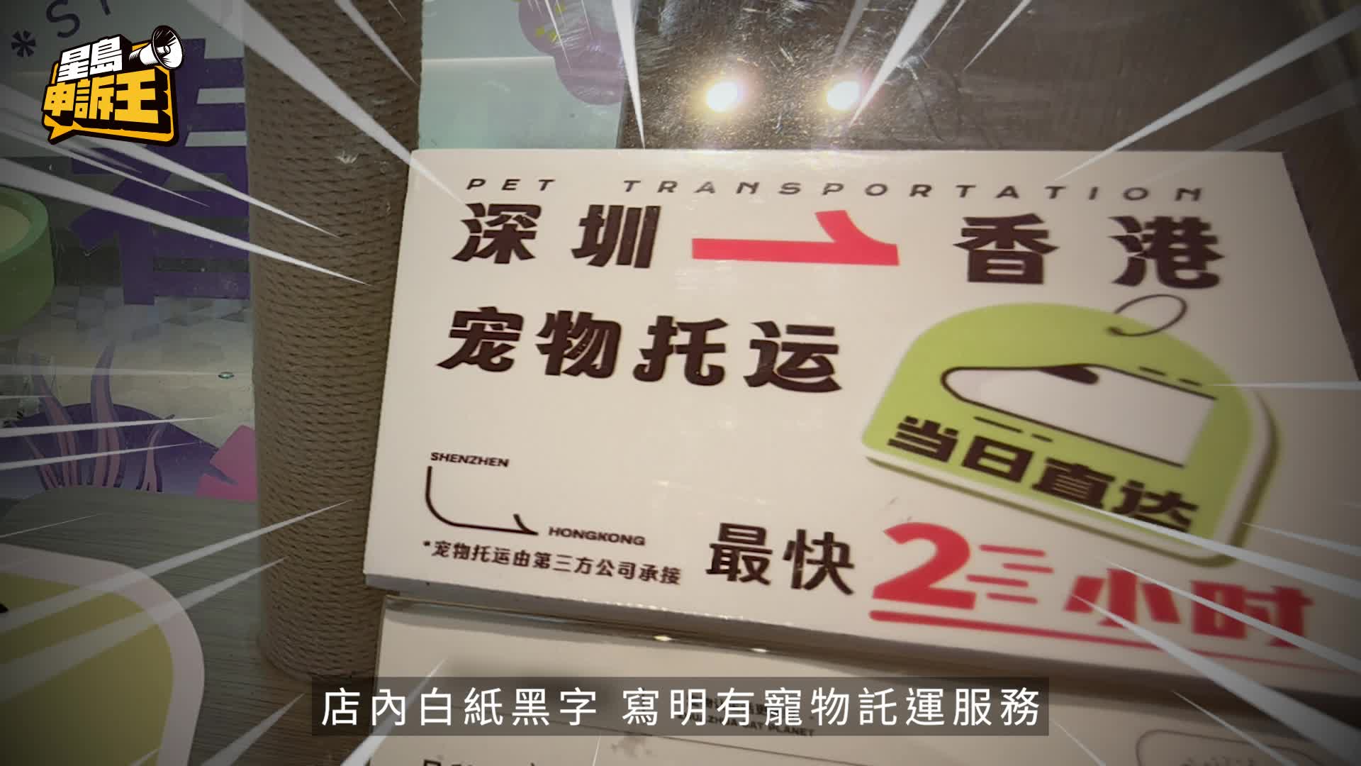 星岛申诉王 | 北上消费潮 内地宠物店抢港客 放蛇踢爆　2小时走私毛孩绝密运作