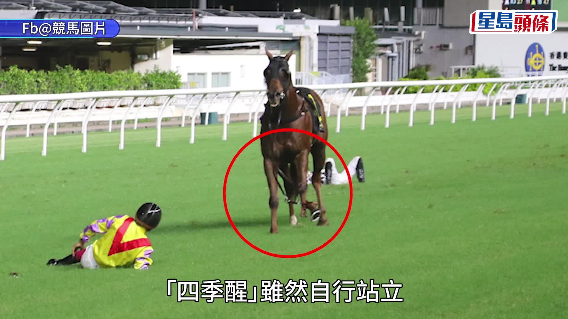 跑馬地馬場3騎師連環墮馬 希威森周俊樂田泰安倒地
