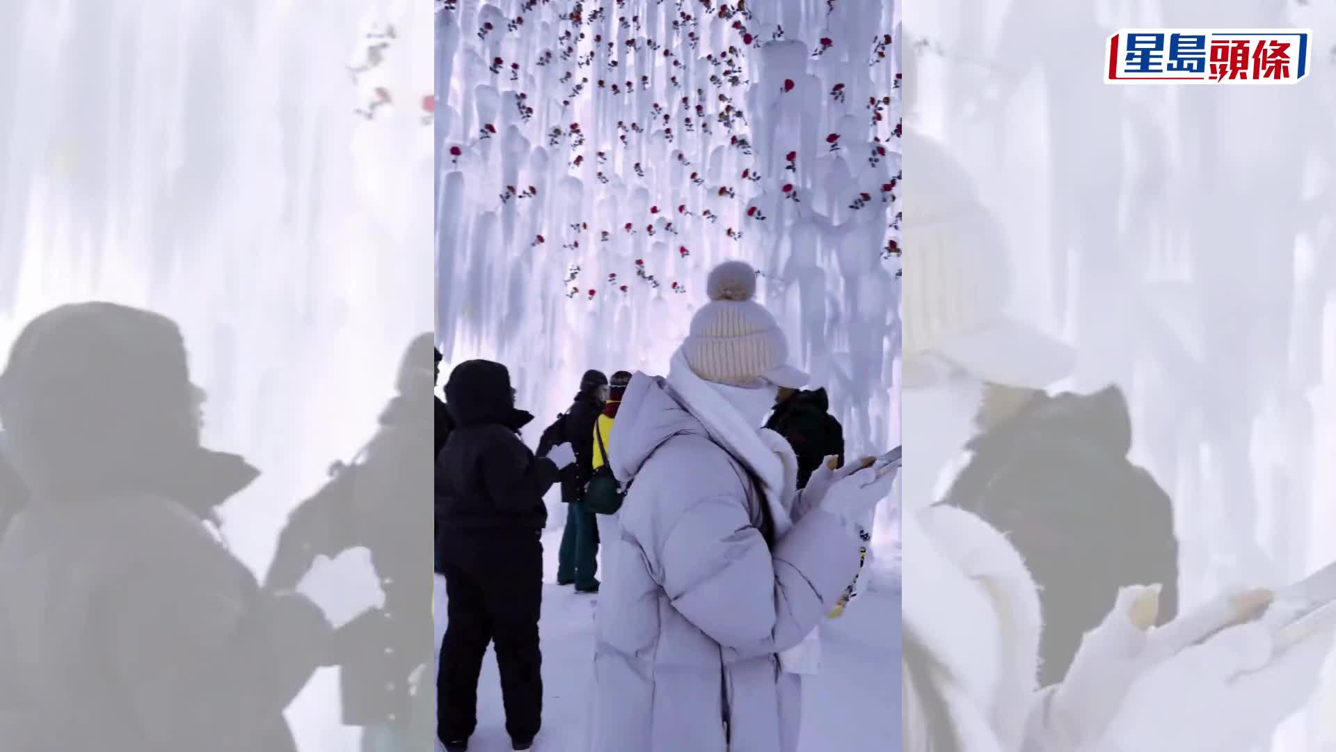 哈爾濱冰雪大世界｜新作受追捧  超大玫瑰冰瀑奇景成打卡頂流
