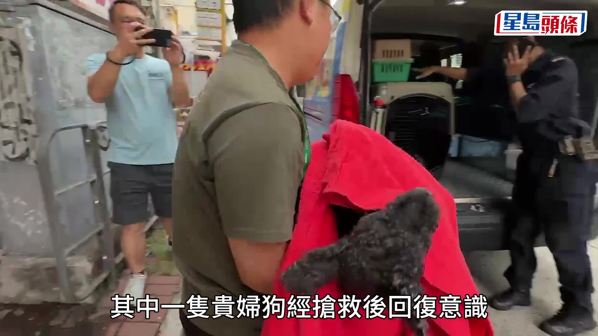 其中一隻貴婦狗需用氧氣協助呼吸。劉漢權攝