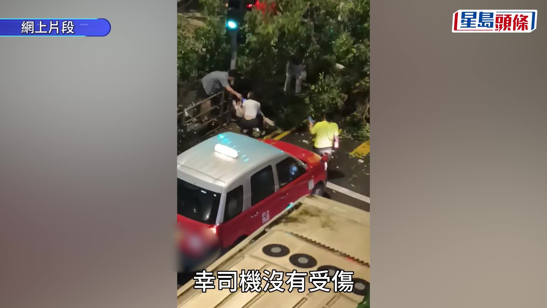 上水港鐵站對開8米樹椏倒塌 4途人走避不及被壓傷