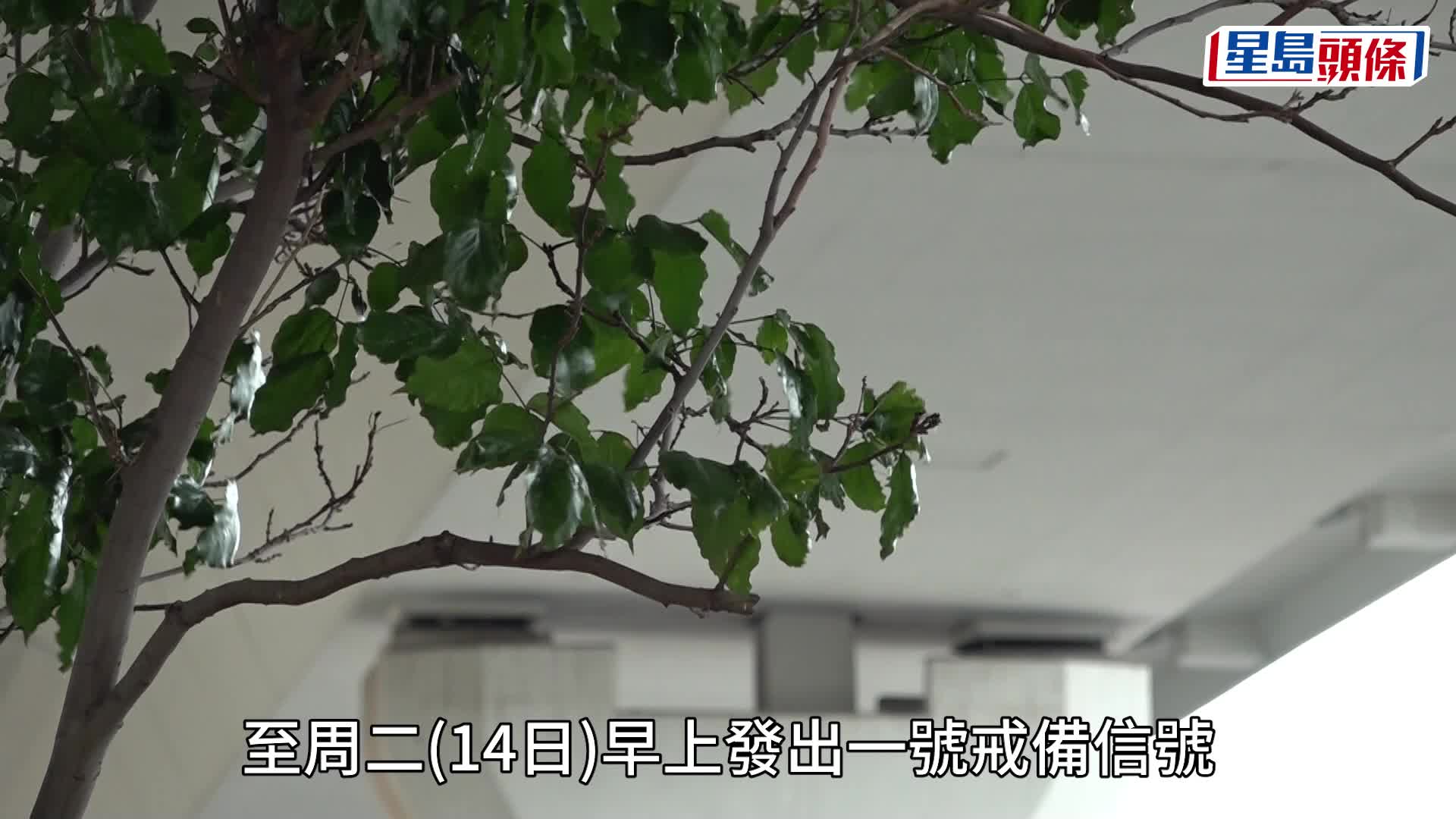 天文台：南海北部低压区若发展为热带低气压 会评估是否在傍晚至明早发出一号戒备信号