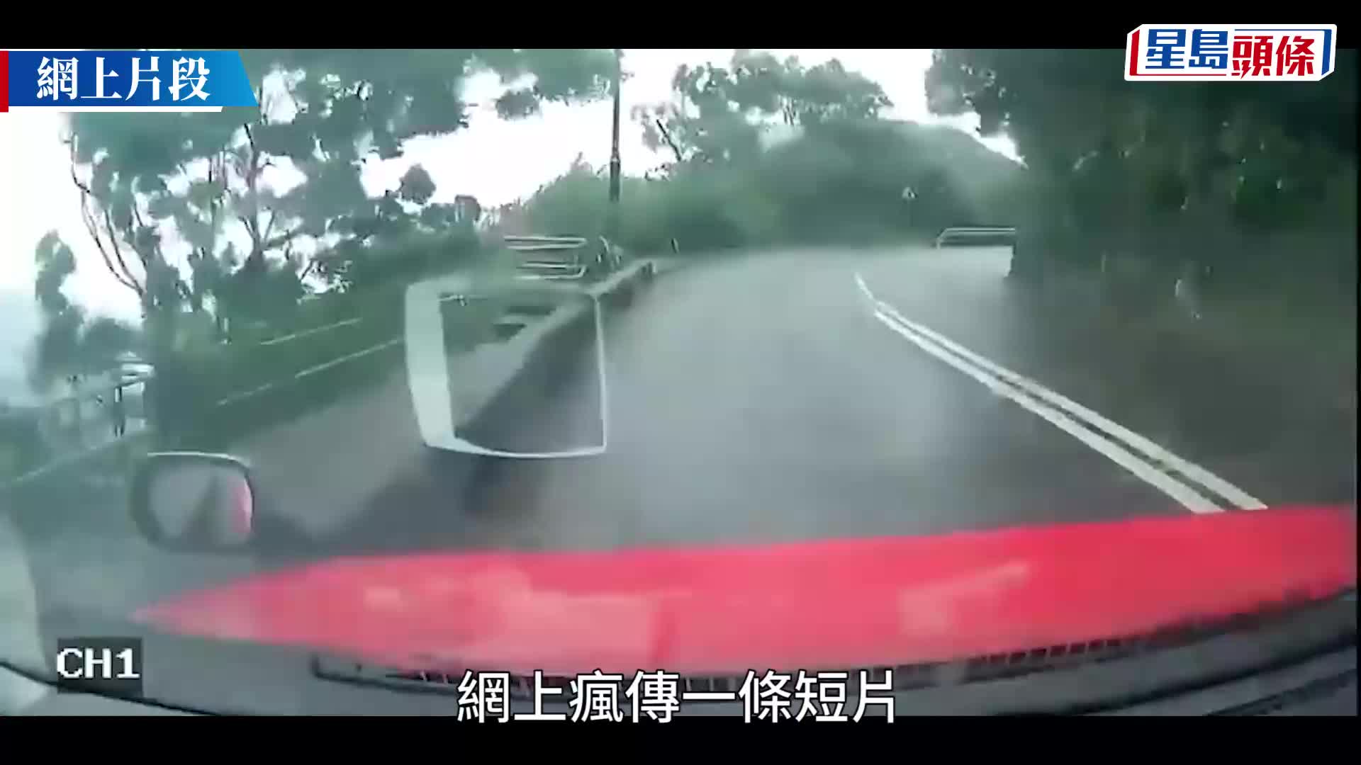 颱風蘇拉‧山頂︱的士遭塌樹壓中 擋風玻璃爆裂