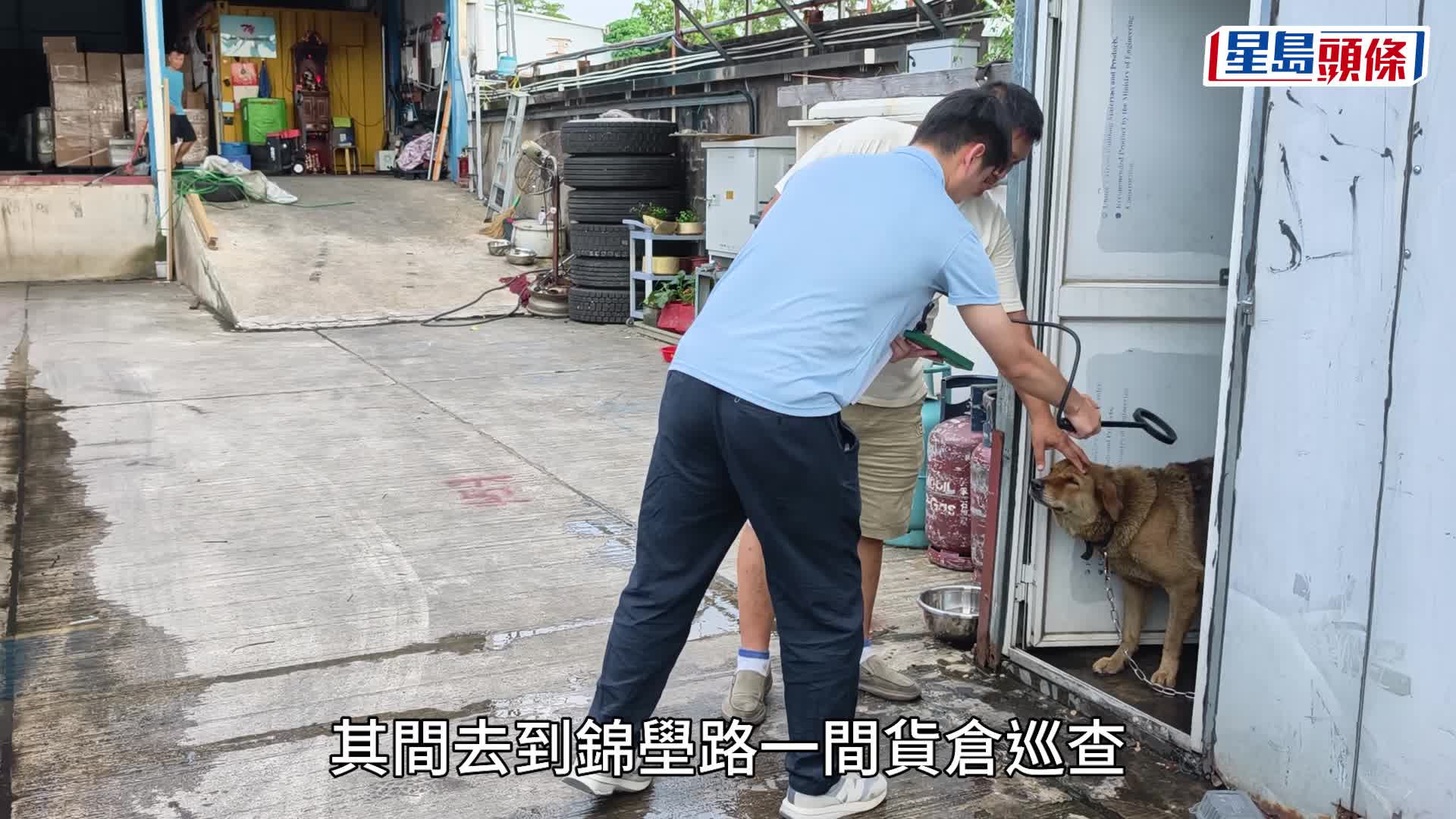 元朗狗咬死人｜警偕漁護持盾牌麻醉槍再出動 擴大搜捕兩公里巡貨倉防「凶犬」