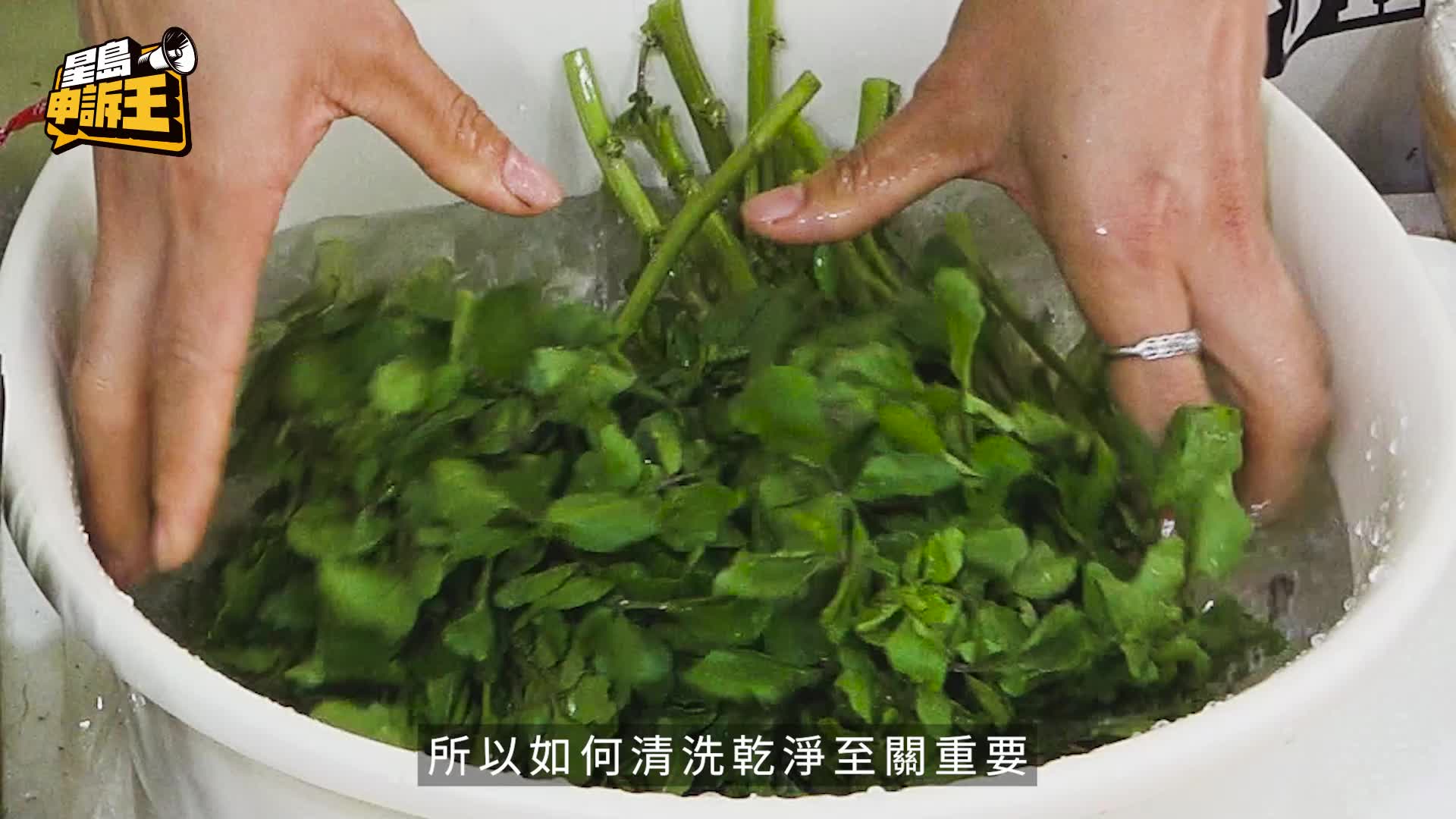 星島申訴王 | 蔬菜食安惹關注 西洋菜點洗都有蟲？ 洗乾淨靠一物