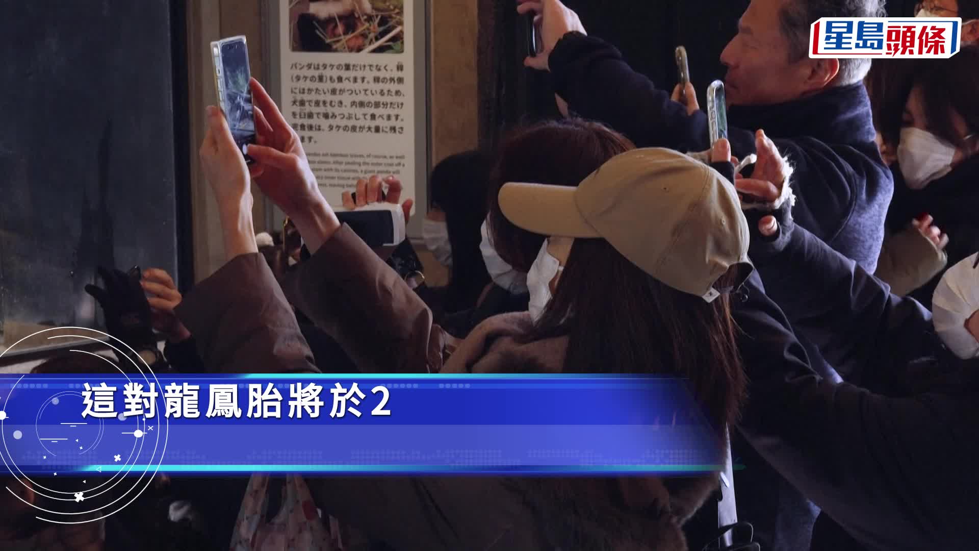 「晓晓」和「蕾蕾」即将回国，吸引大量日本民众与牠们道别。Ｘ@sakuranohana_cj