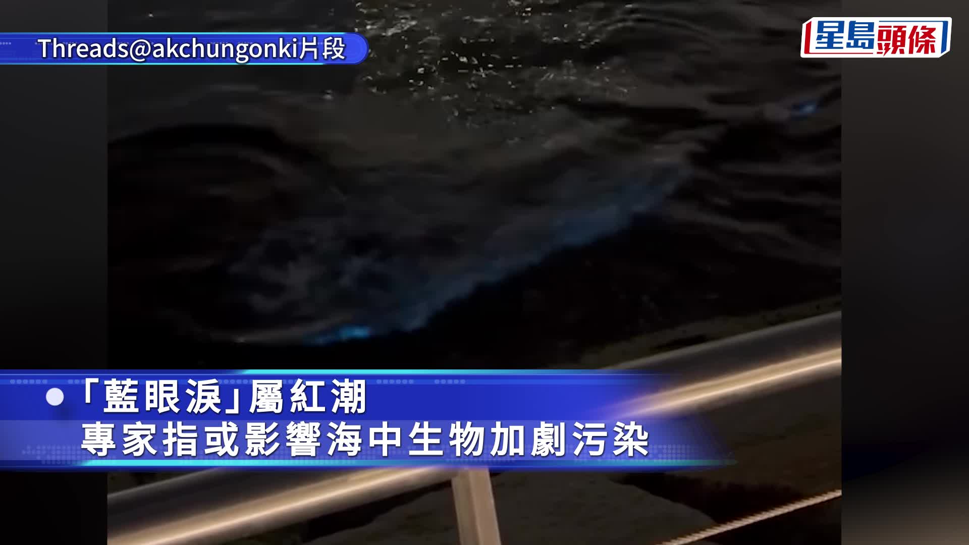 啟德海濱湧「藍眼淚」 浪漫奇觀暗藏生態危機 網民驚爆本港兩大海邊同告失守｜Juicy叮