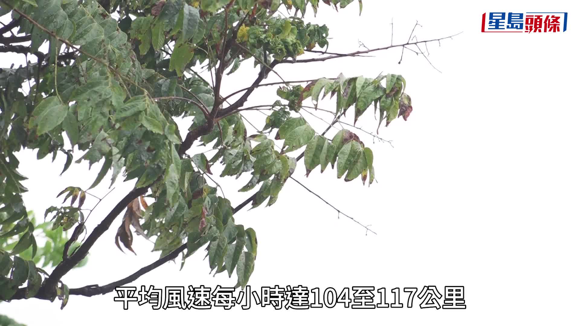 颱風樺加沙｜超強颱風來勢洶洶 網民憶「山竹」災情 抽氣扇、屋頂橫飛 爬樹返工