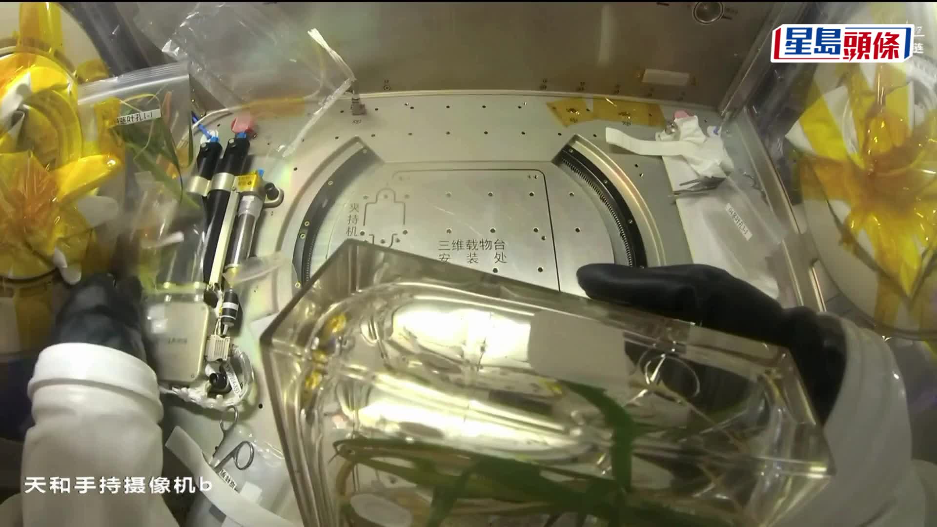 神舟二十三號最新影片曝光，黎家盈見證「太空水稻」結穗。  中國載人航天工程辦公室