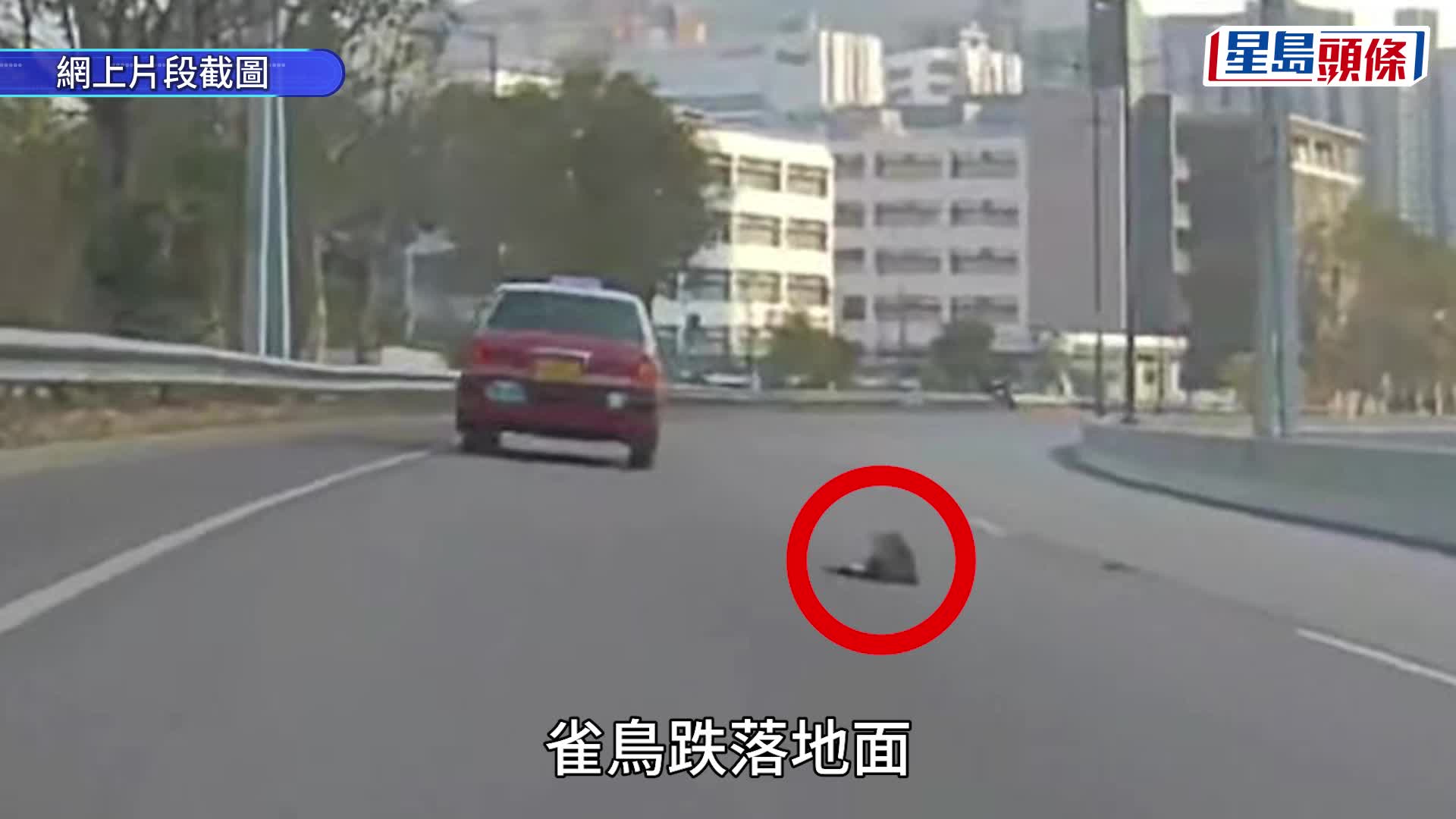 柴湾电单车意外撞栏 铁骑士重创不治 现场遗血墙