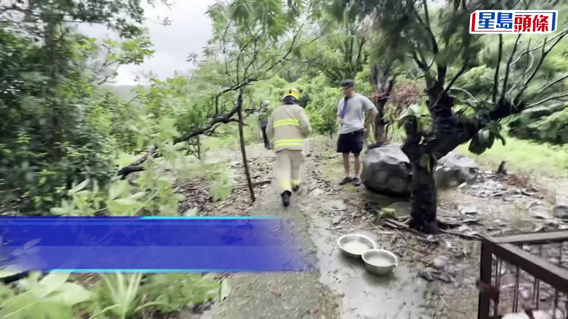 墮下樹丫擊中寮屋電線傳爆炸聲。梁國峰攝