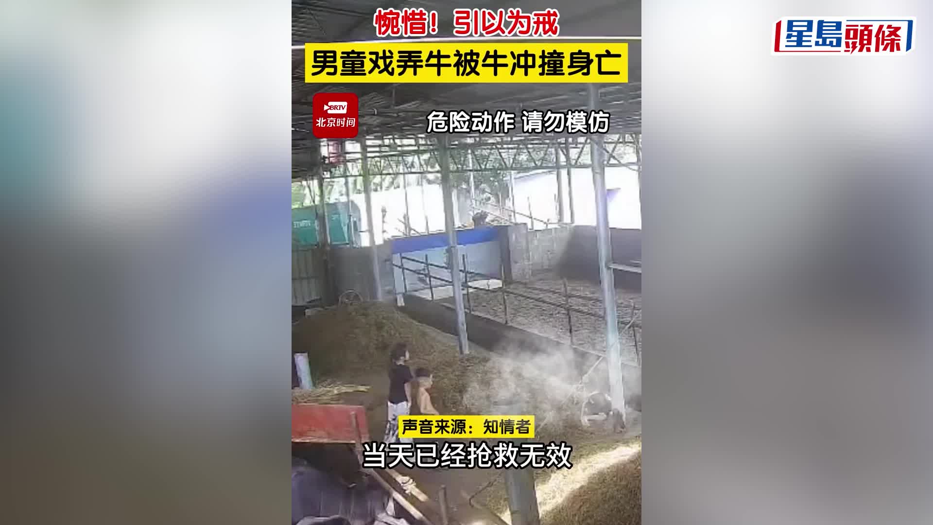 公牛发狂撞死6岁男童。