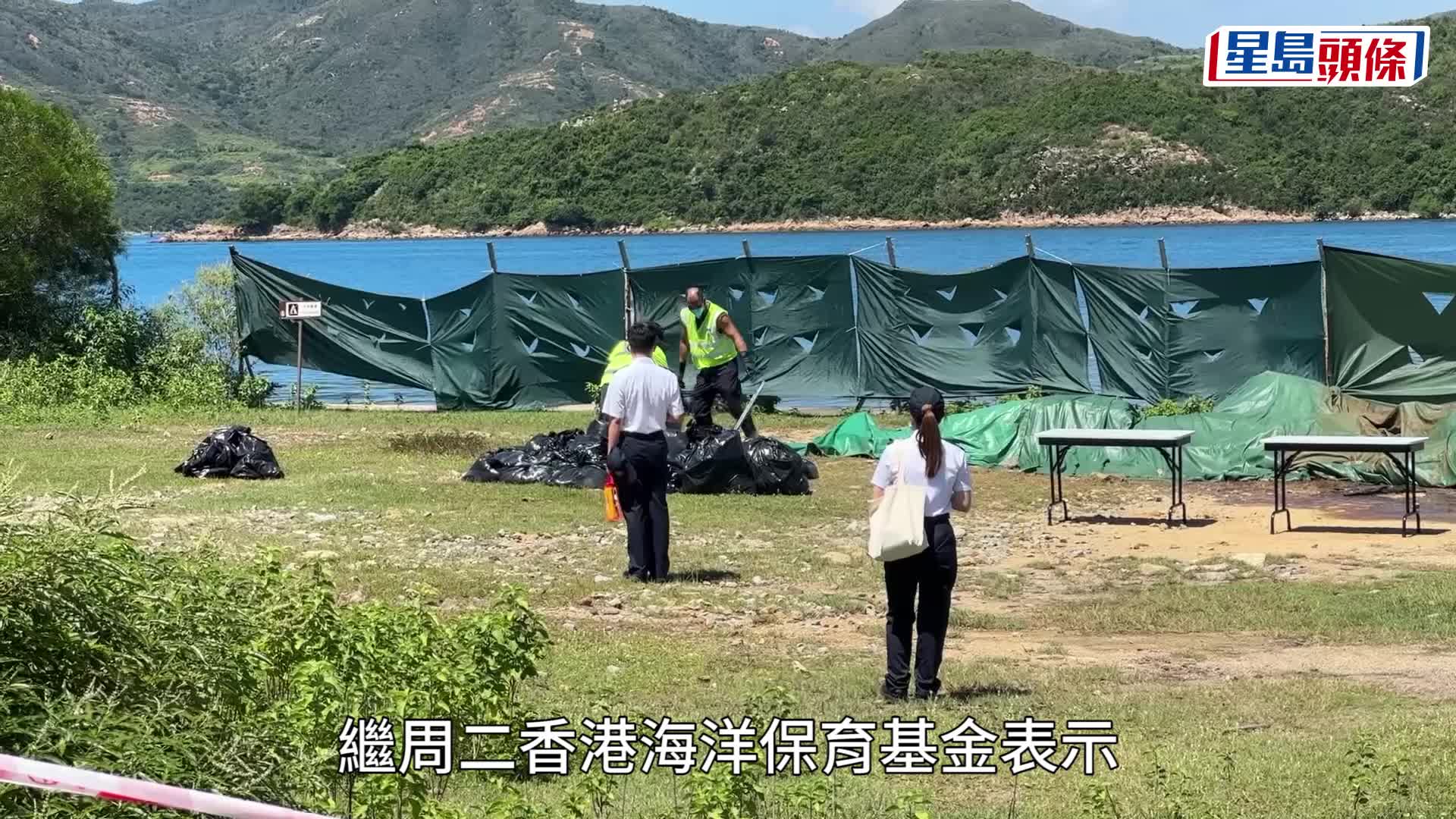 西贡鲸鱼│鲸尸完成解剖 食环署安排车辆逐件运走