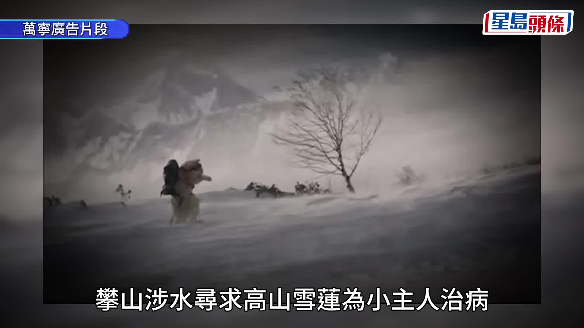 萬寧貓「弟弟」辭別人世返喵星 網民留言道不捨：謝謝你陪伴港人成長