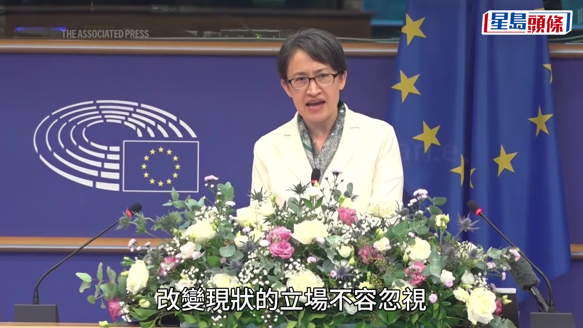 蕭美琴現身歐洲議會演說。 IPAC官方X平台