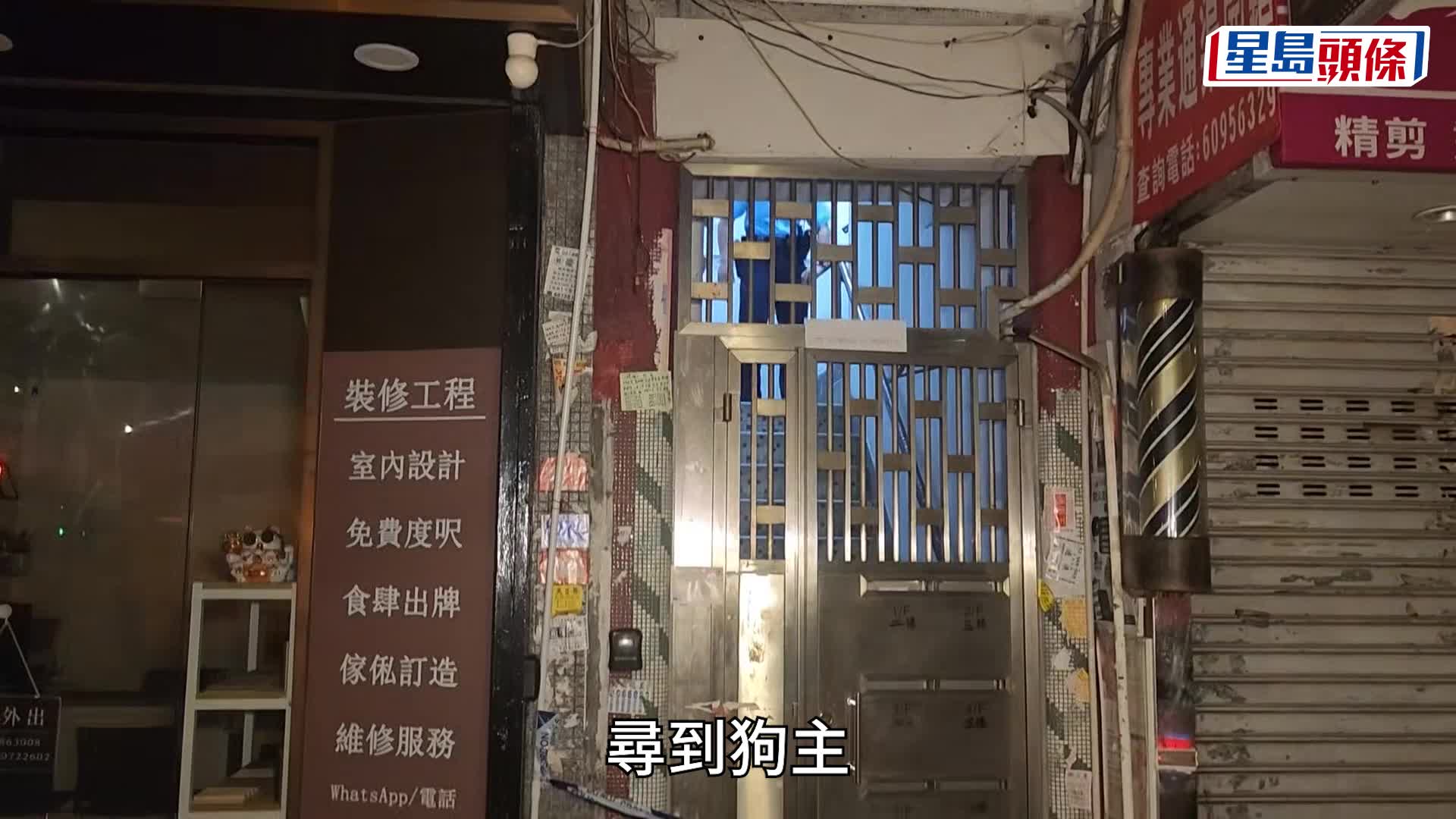 深水埗唐狗倒斃街頭 警沿血跡尋狗主 老翁涉虐待動物被捕